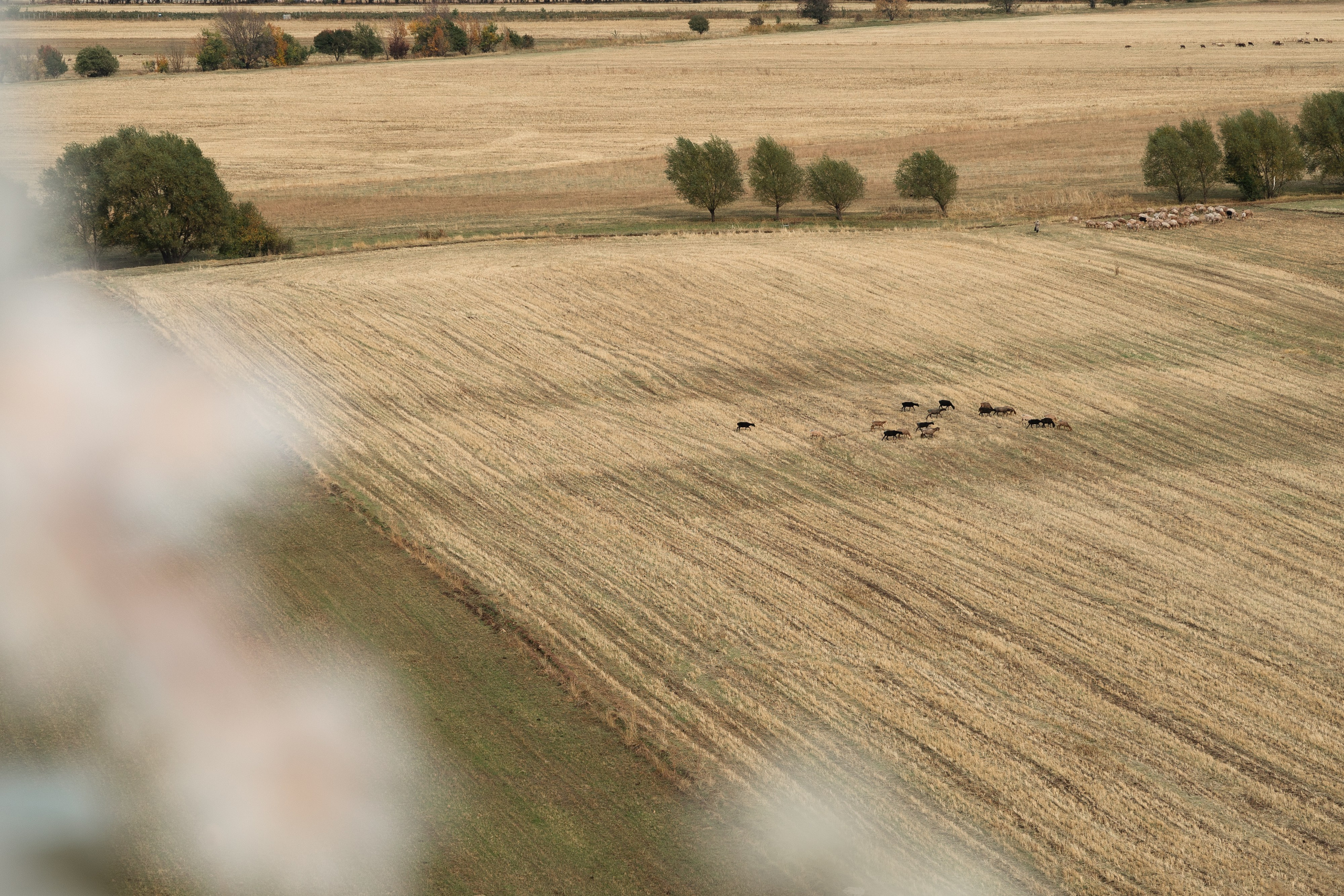 Тимур&Алуа. Репортажный фотограф Дмитрий Юрчук