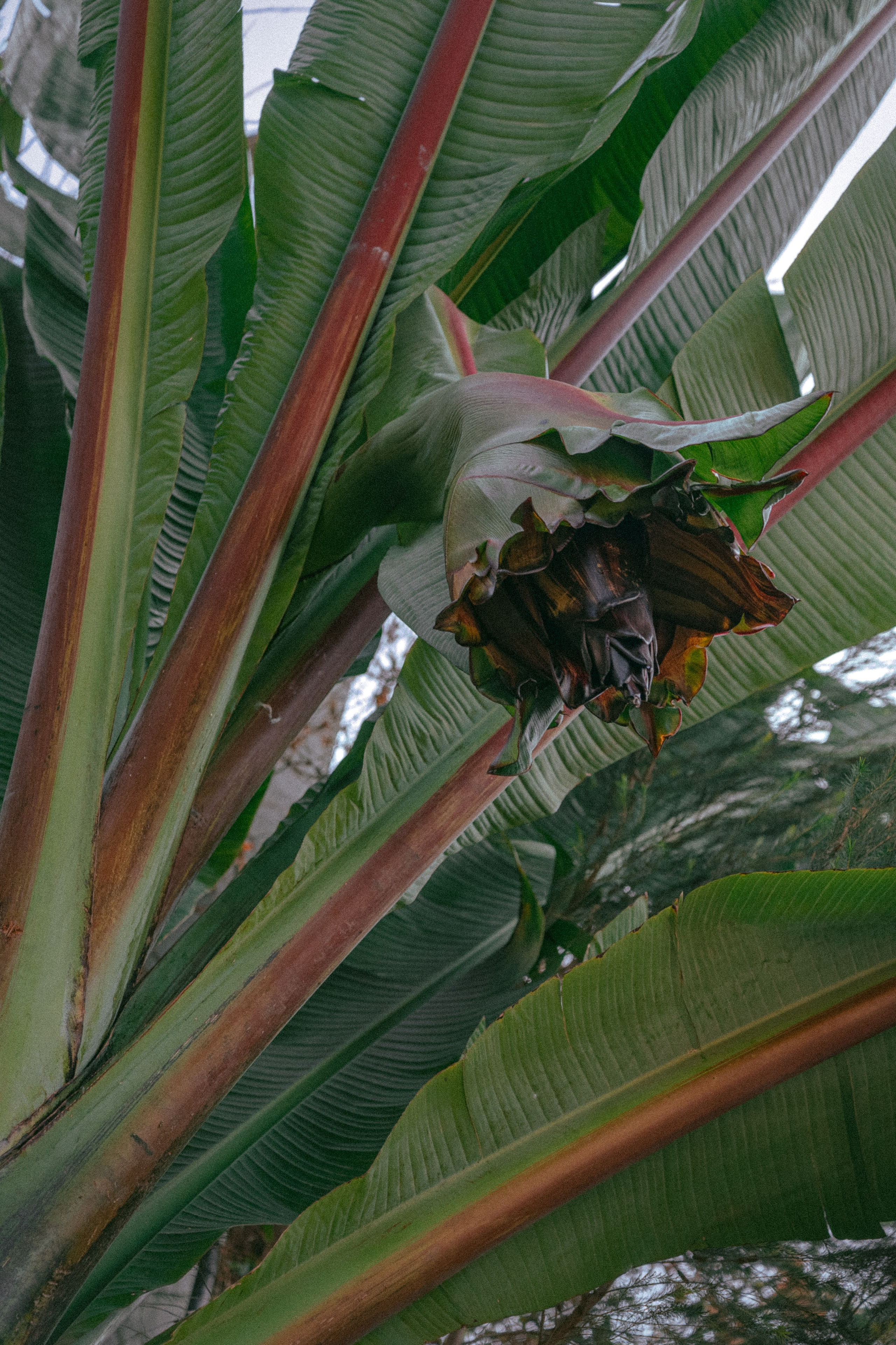 Плато жизни: Эфиопское нагорье. Юля Дэй • Фотограф, Санкт-Петербург