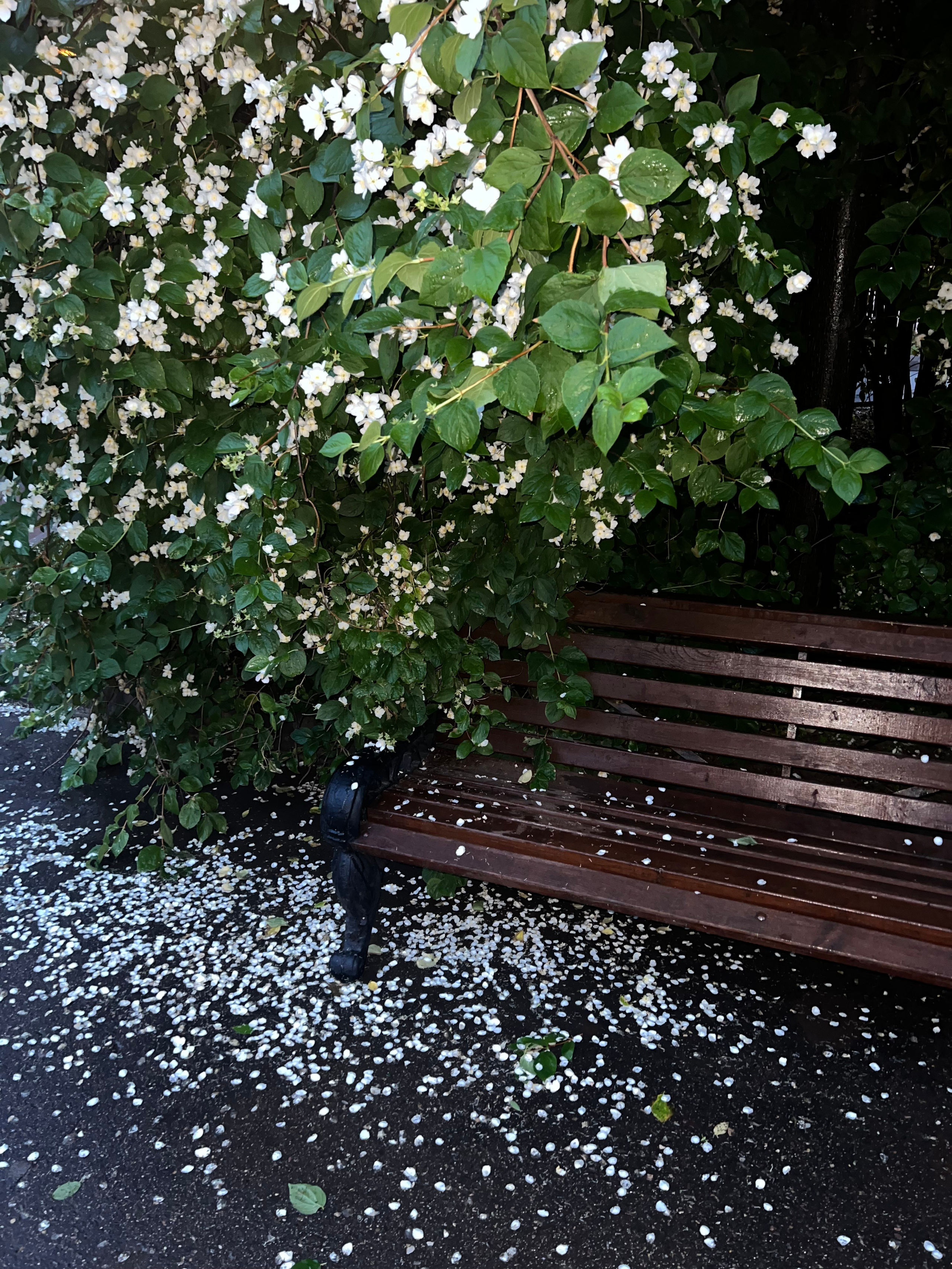 Fragments. Artem Khusainov