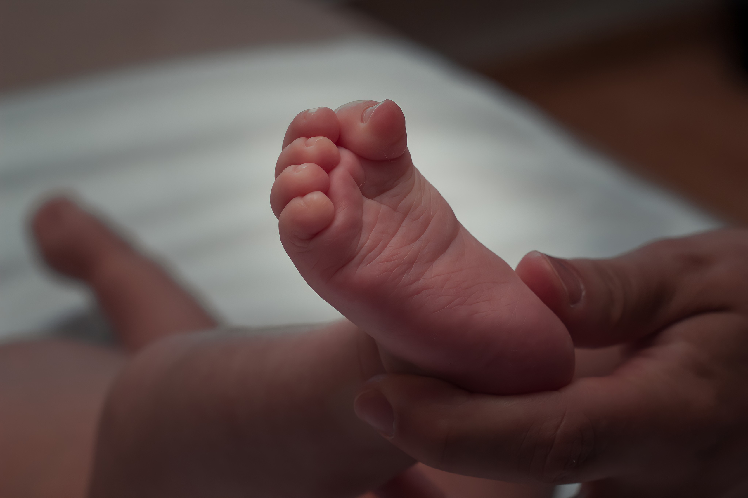 Детская фотосессия. Фотограф Ирина Яковлева, Екатеринбург, Берёзовский