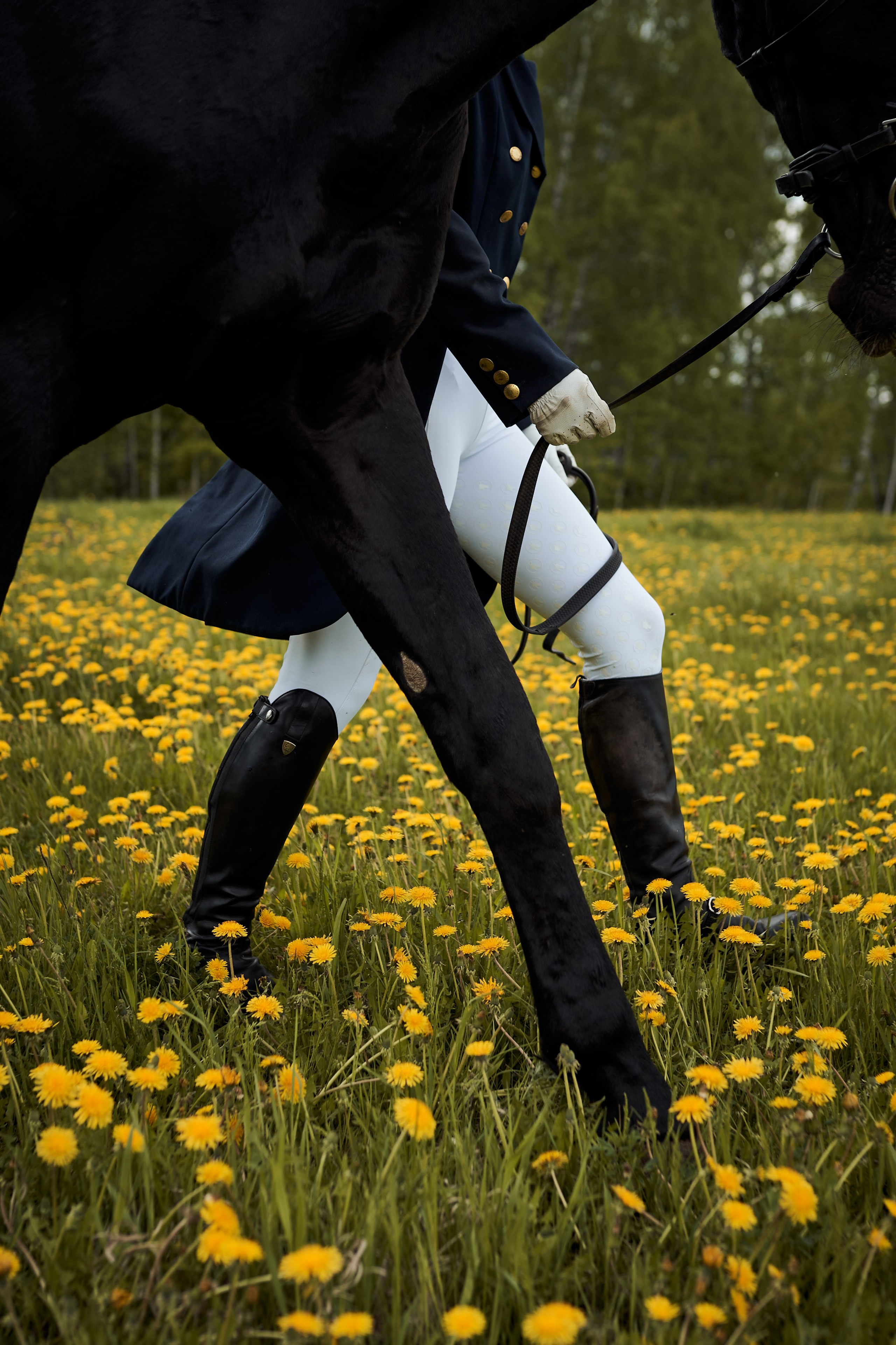 Полина и Парламент. Фотосессии с лошадьми в Москве, Новосибирске