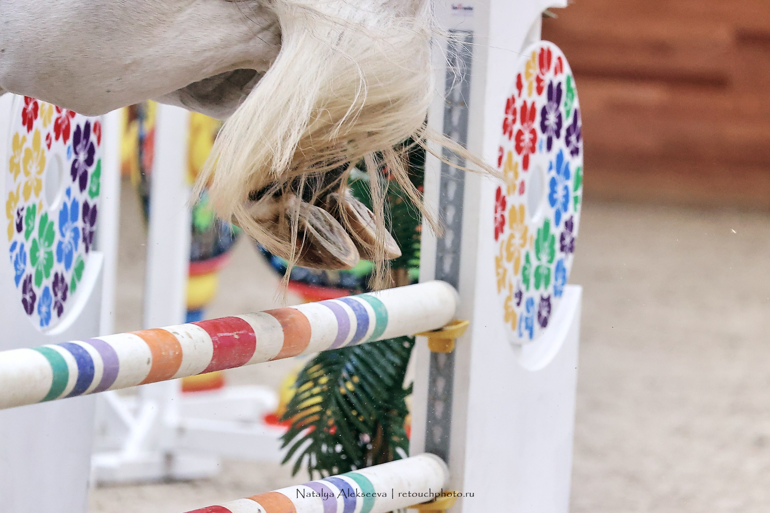 Финал Maxima Park по конкуру, Maxima Stables | 10'2023. Репортажный фотограф и ретушер в Москве Наталья Алексеева