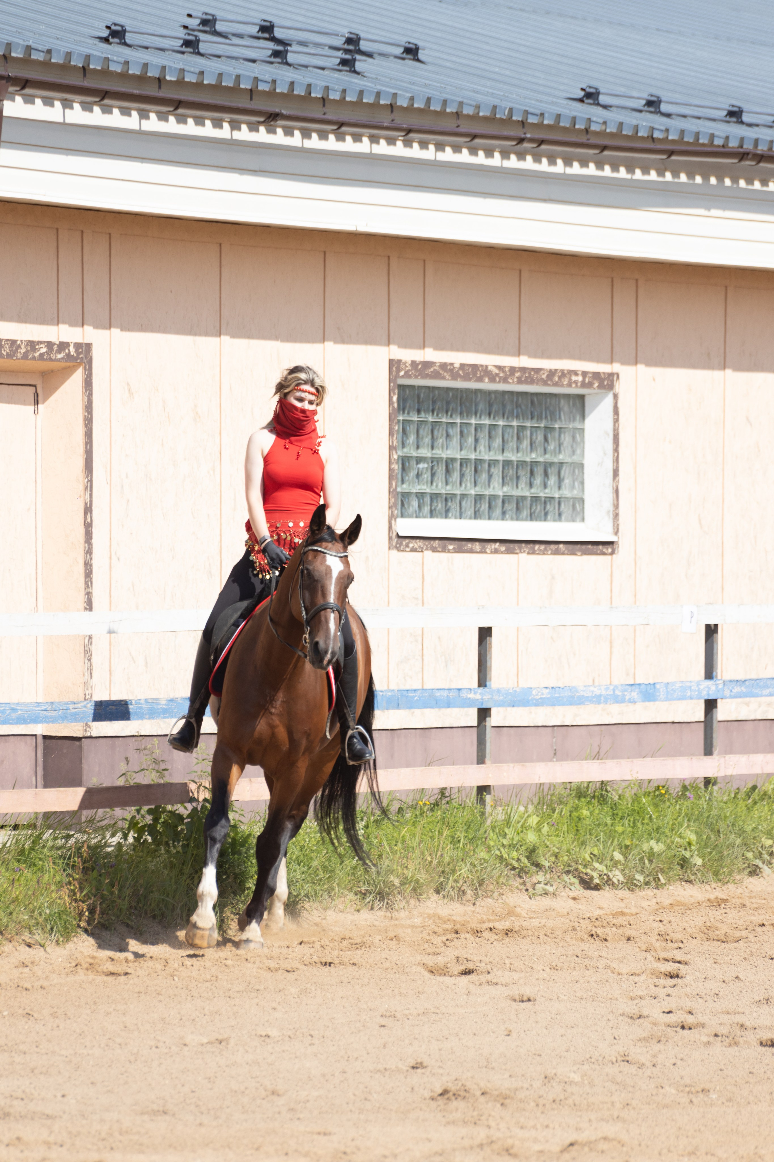 Конюшня. Фотограф в Москве и Истре