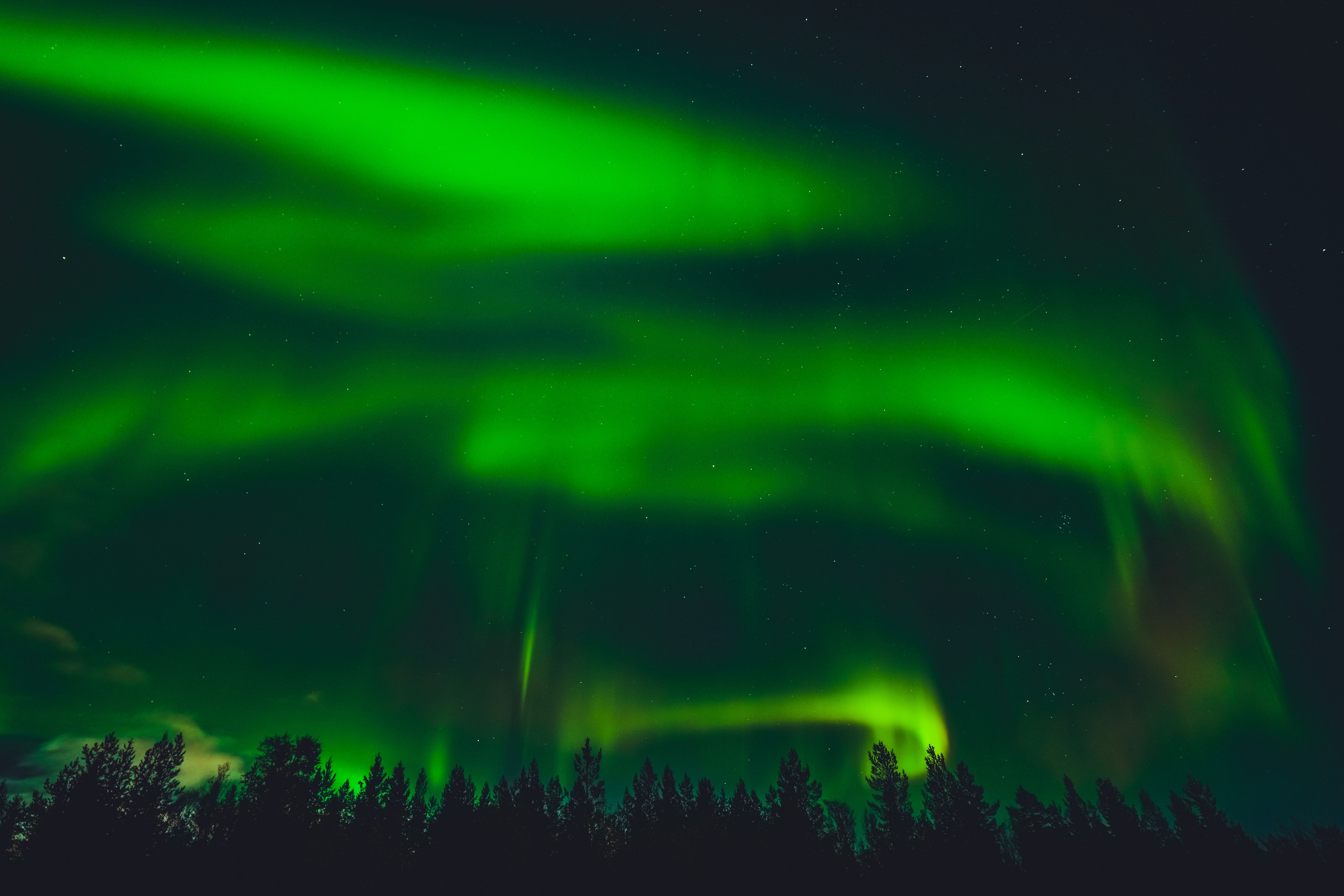 СЕВЕР. Event фотограф Степанова Александра
