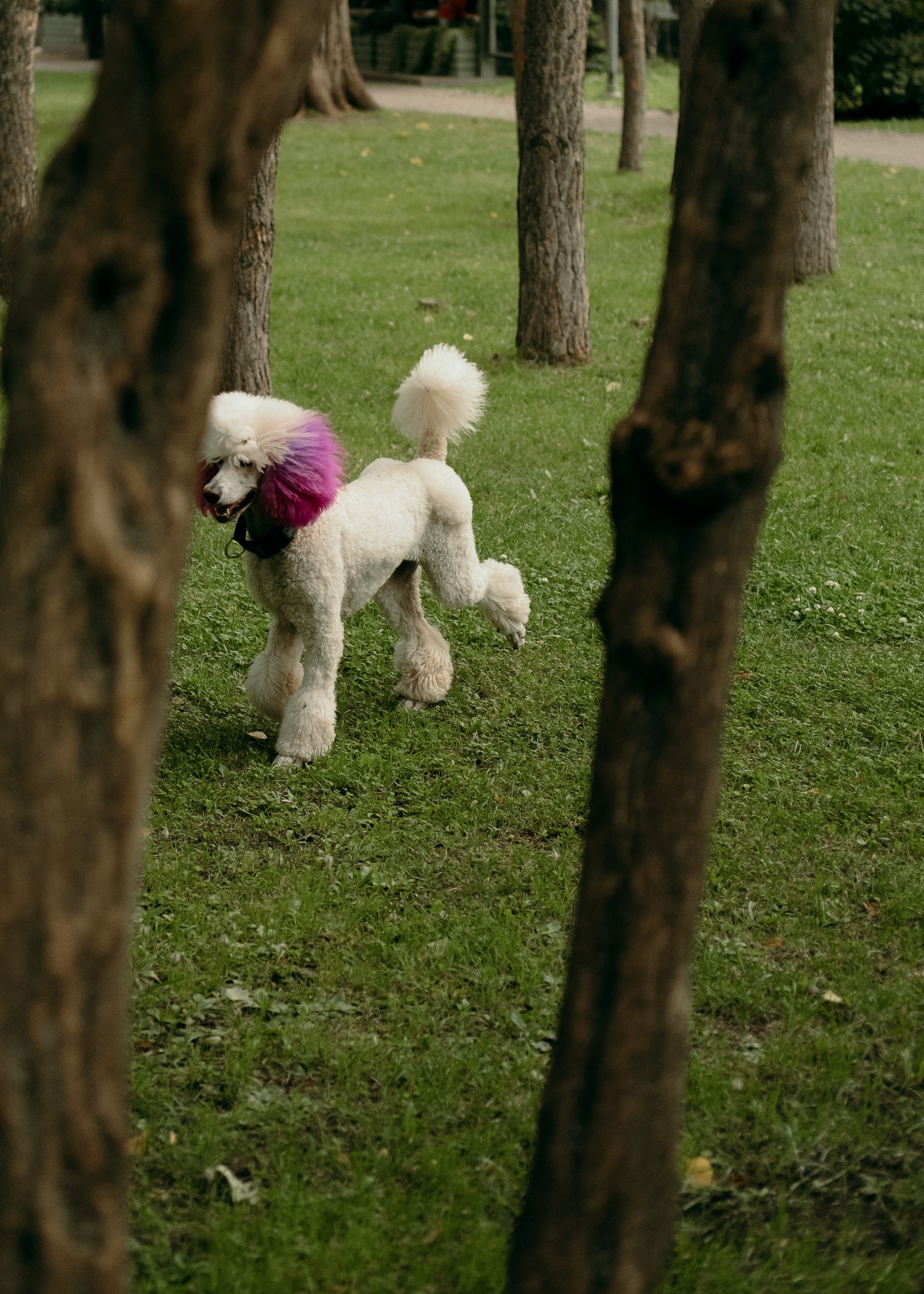 Любовь: Евгения и Всеволод. Обо мне