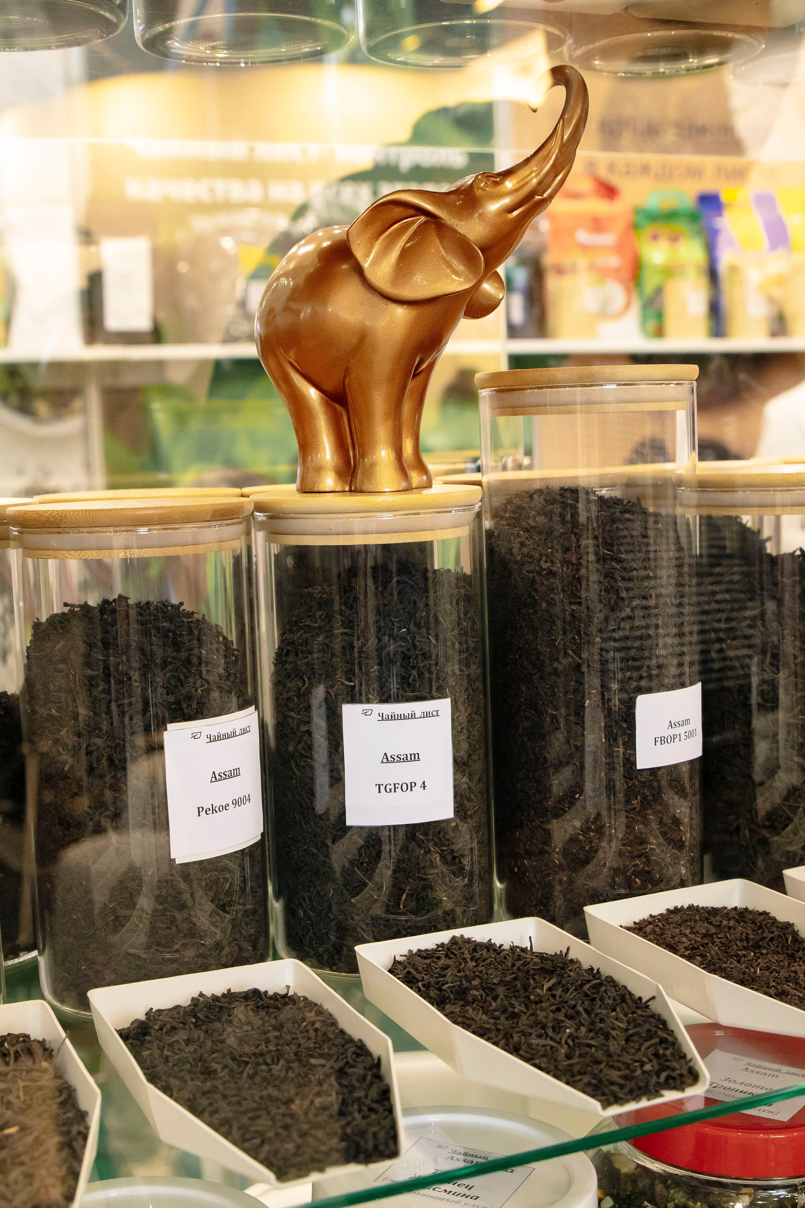 Выставка Coffee Tea Cacao Expo + HORECA Expo 2026, Тимирязев Центр. Профессиональный фотограф в Москве | Заказать фотосессию и съемку