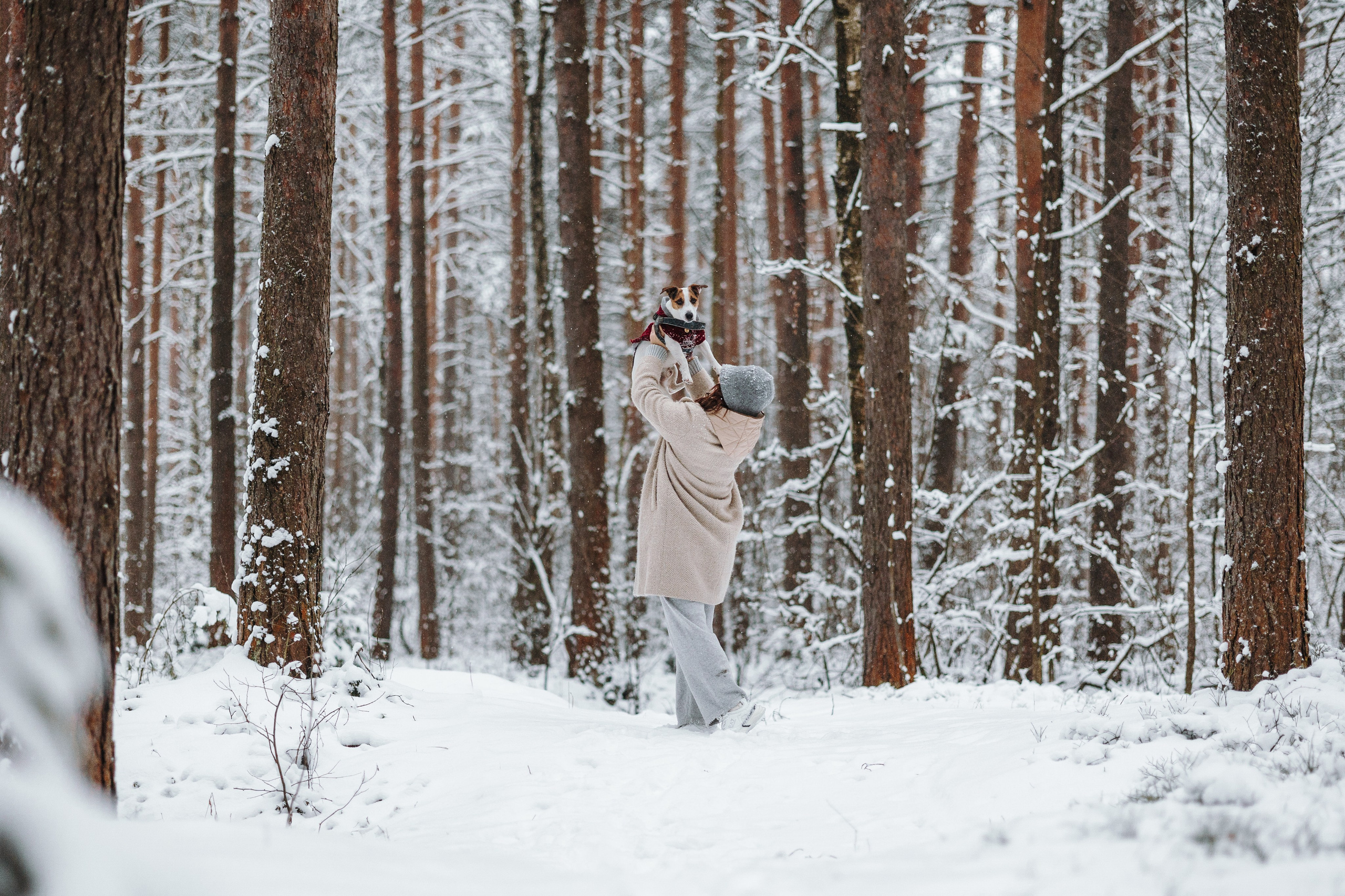 Мики и его семья. Фотограф — Анималист | Санкт-Петербург