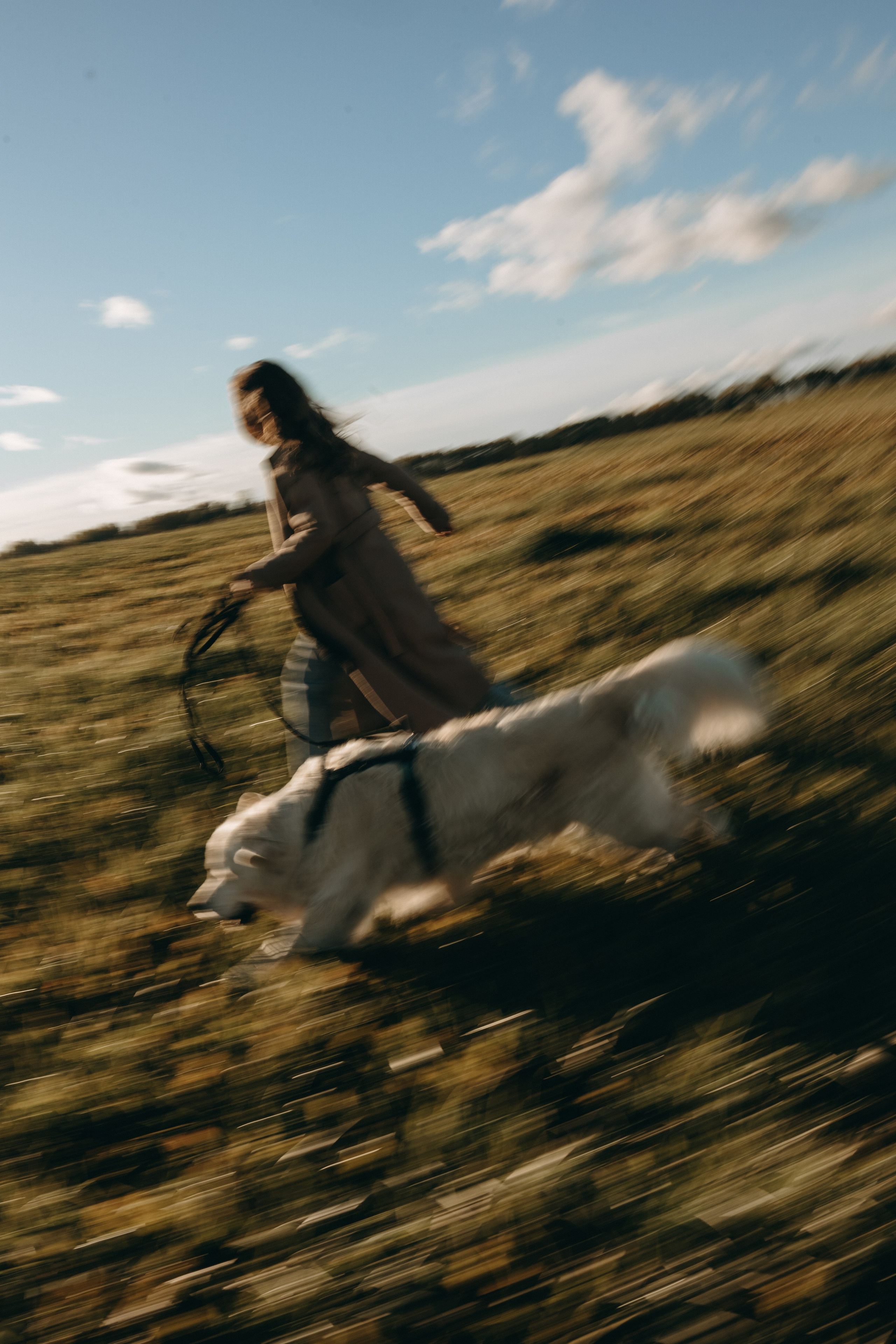 Лера и Скай. Фотограф — Анималист | Санкт-Петербург