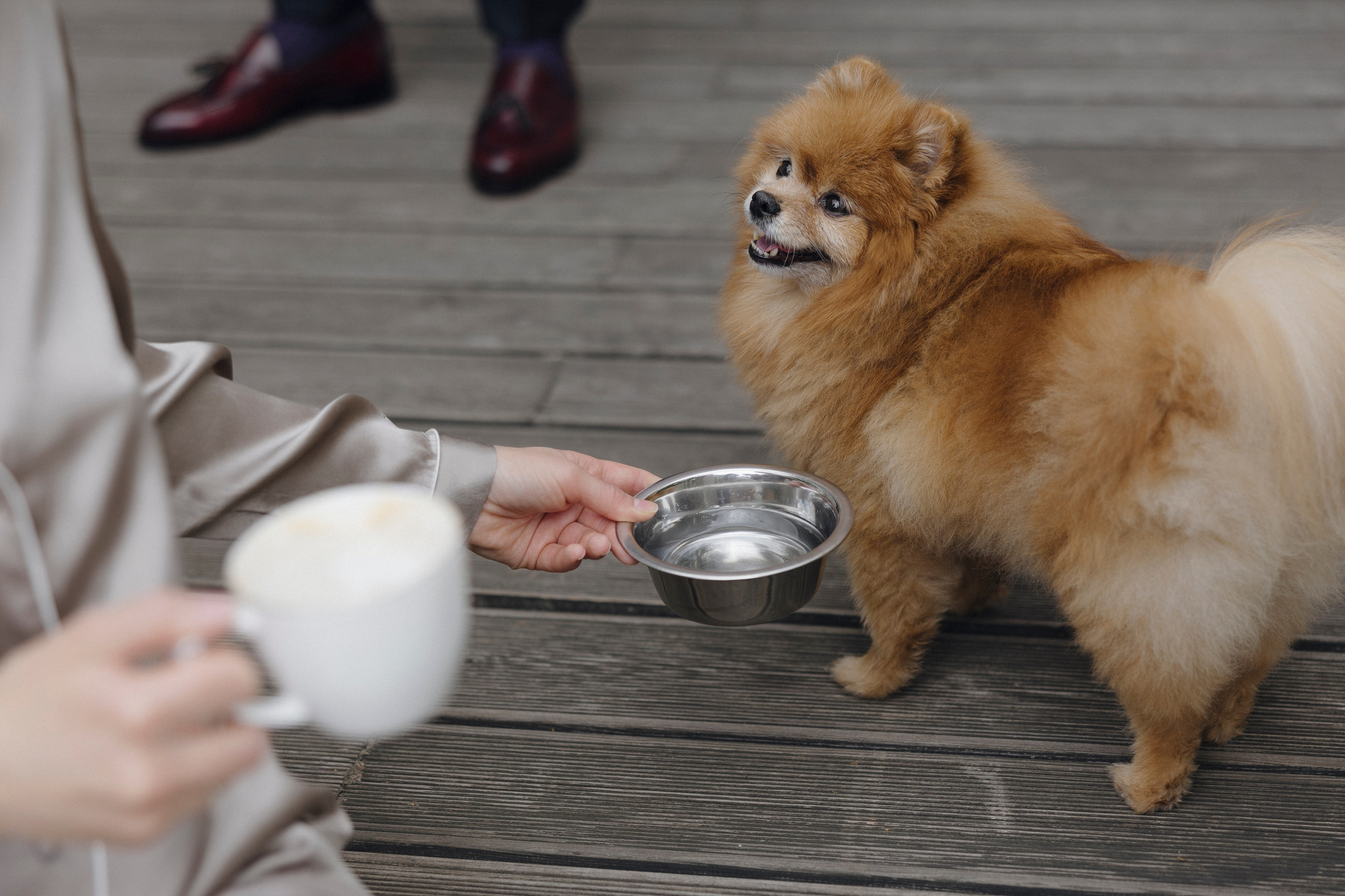 Михаил и Анна. Свадебный фотограф Курск Максим Ноздрачев