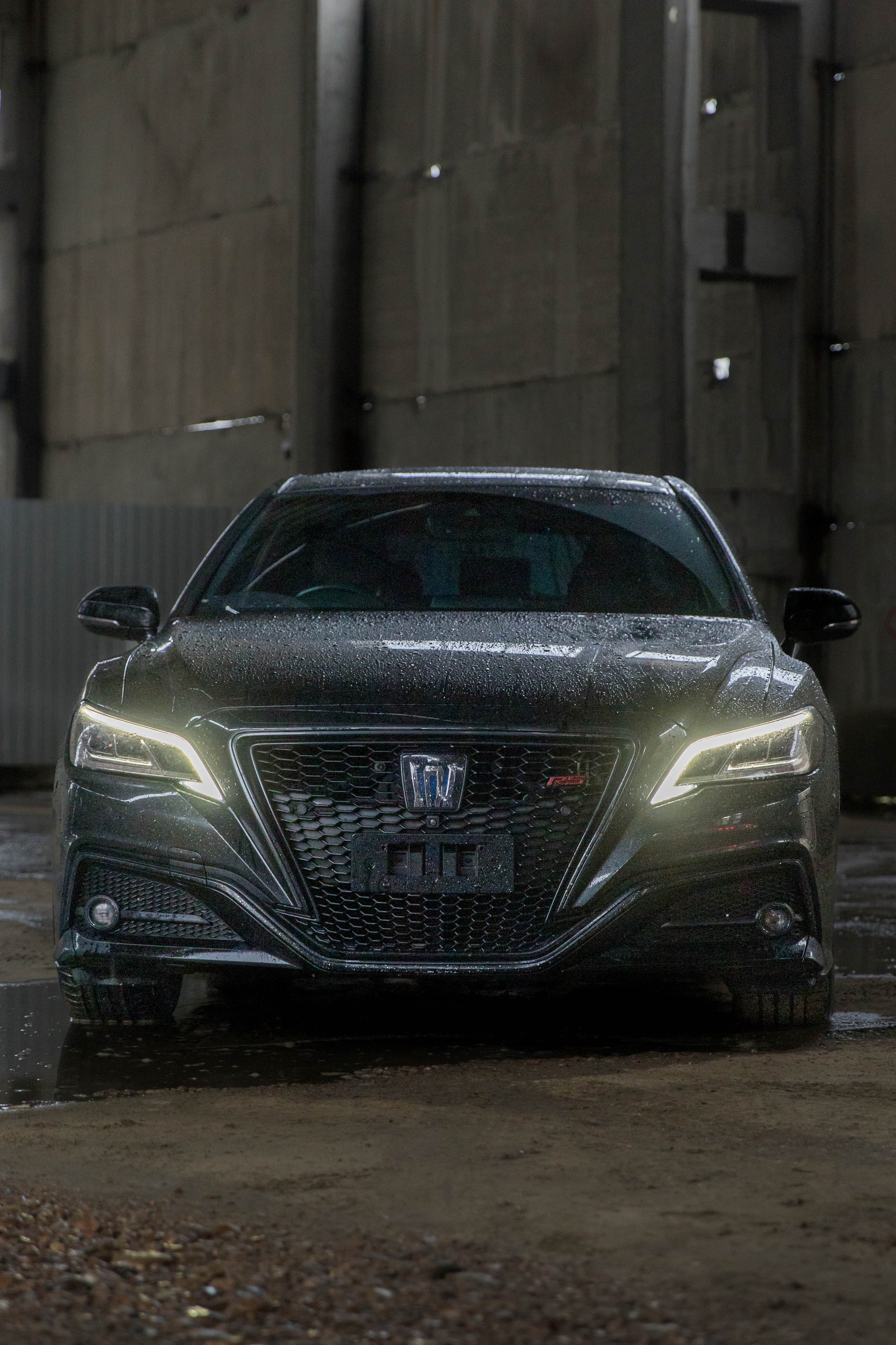 CROWS. Репортажный фотограф в Иркутске — Ярослав Ковалёв