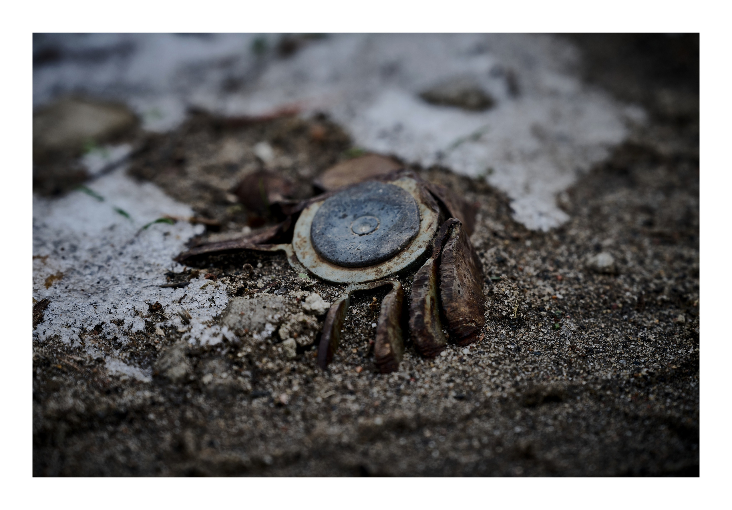 Фотопринты А3. Фотопроект «Территории»