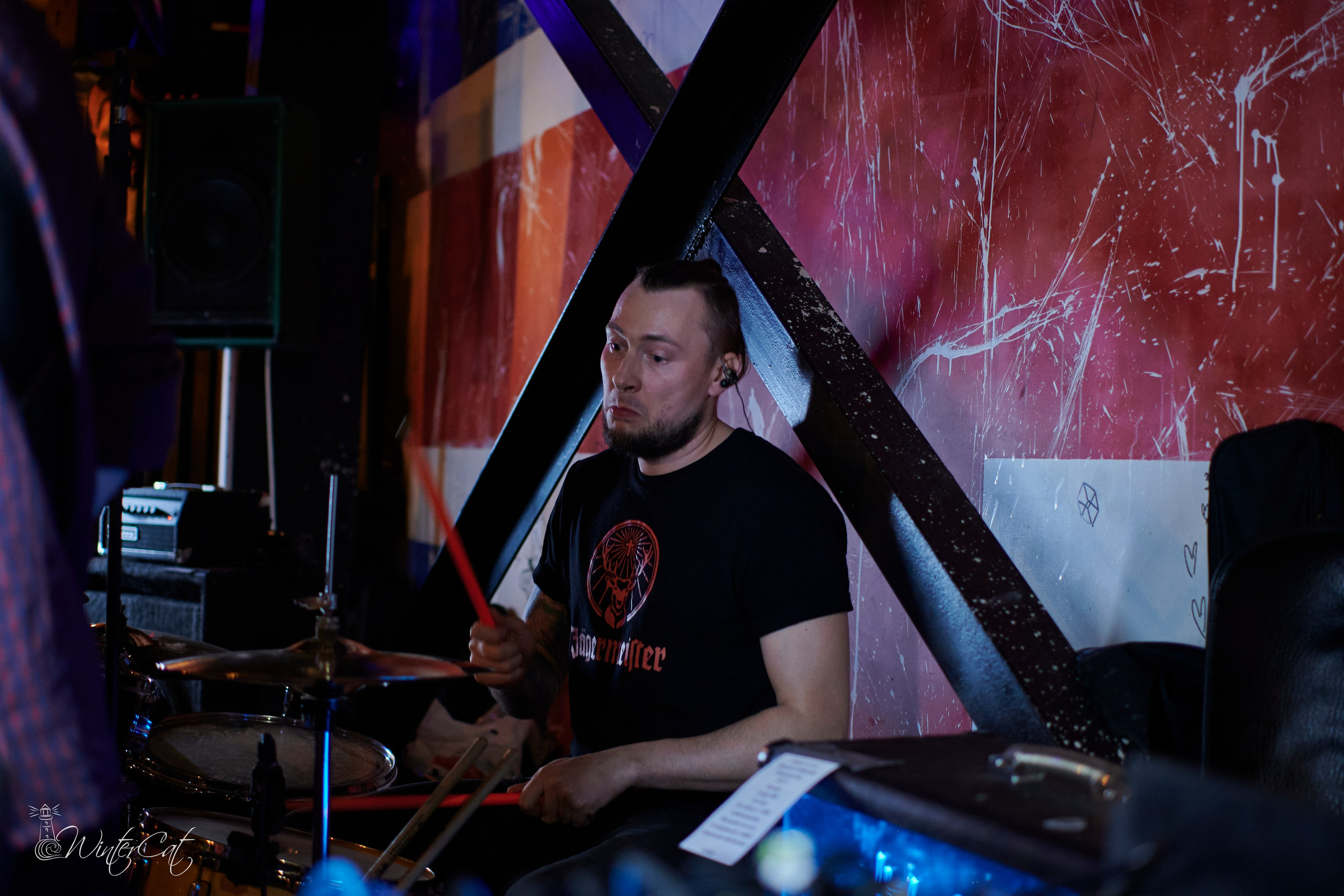 День Рождения Честер Четыре Года. Портретный и репортажный фотограф в Магадане Андрей Нефедов WinterCatPhoto