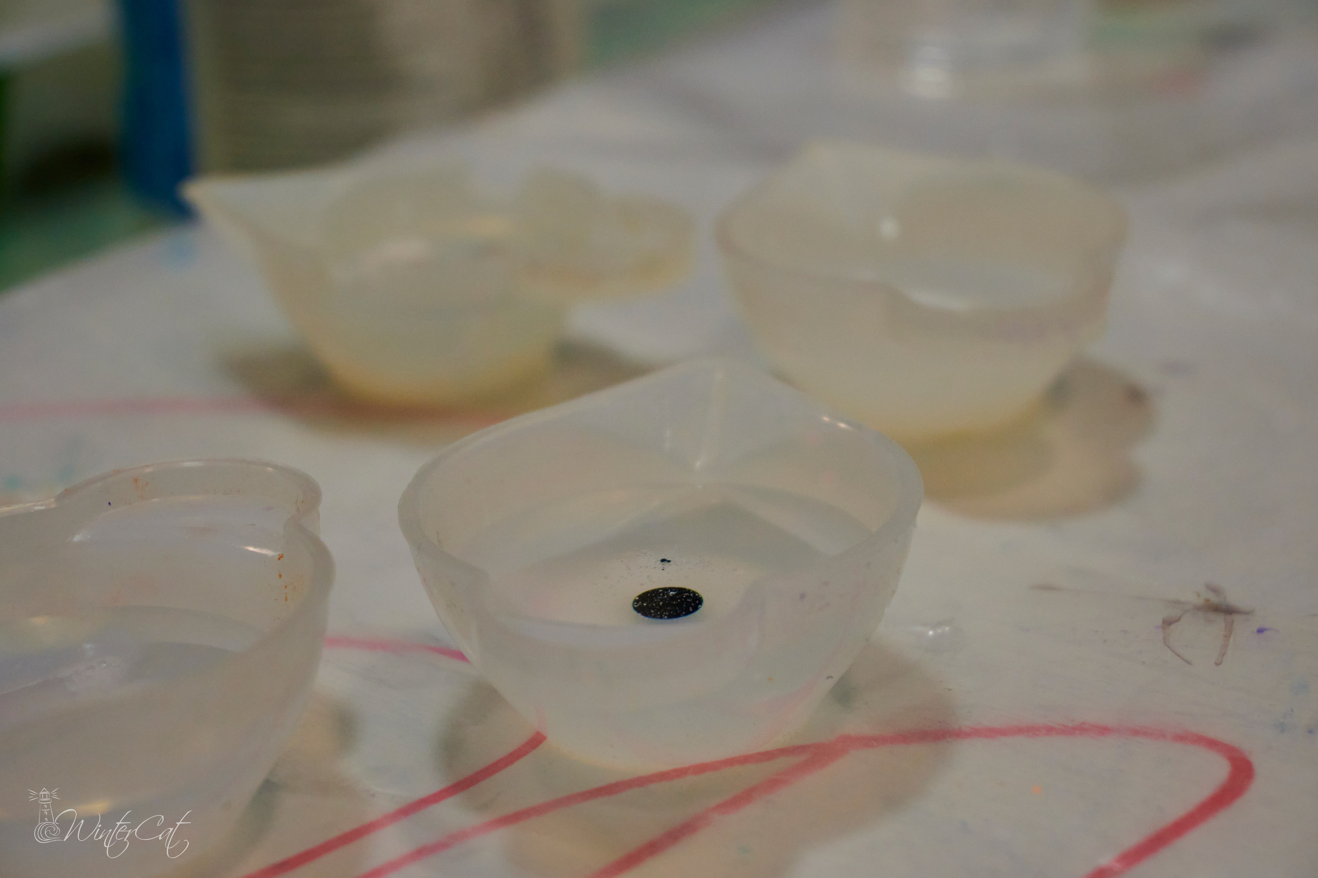 Мастер Класс Смола Ирины Чегуровой 20.10.24. Портретный и репортажный фотограф в Магадане Андрей Нефедов WinterCatPhoto