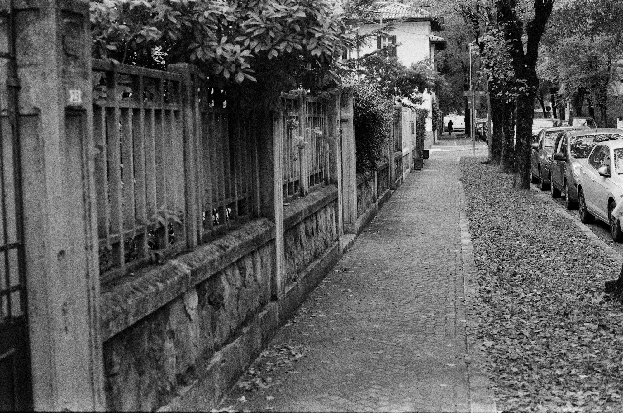 A gastrotourist. Udine (Northern Italy)