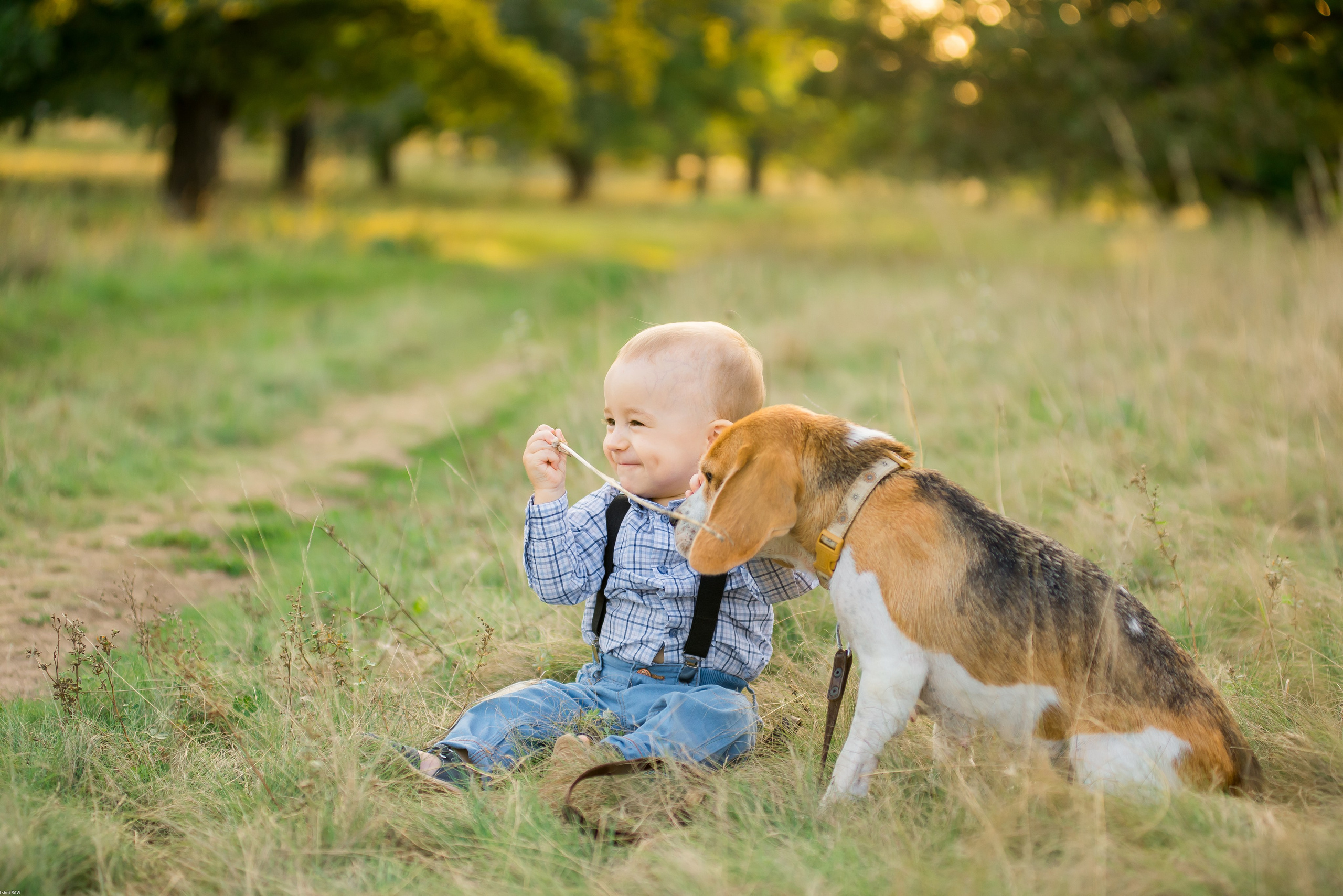 Саша, Наташа и маленький Савва. Свадебный фотограф в Рязани Вагнер Владимир