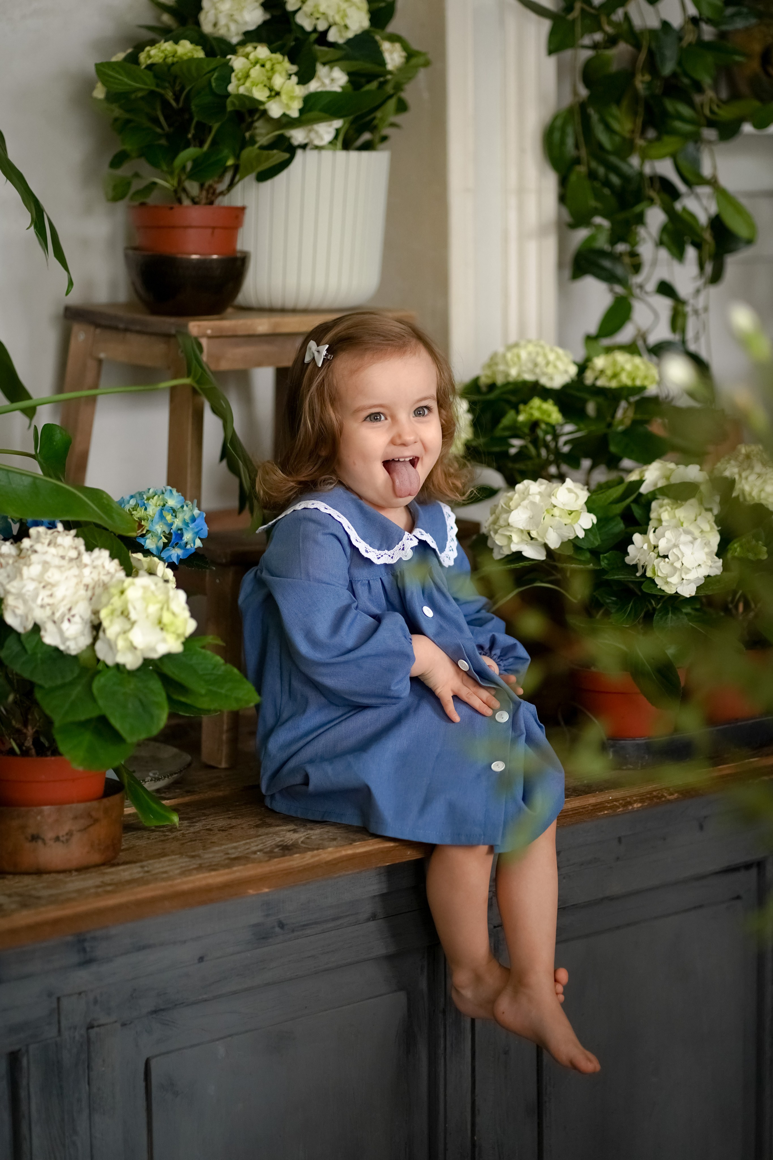 Маленький цветочек. Фотограф Татьяна Митрофанова