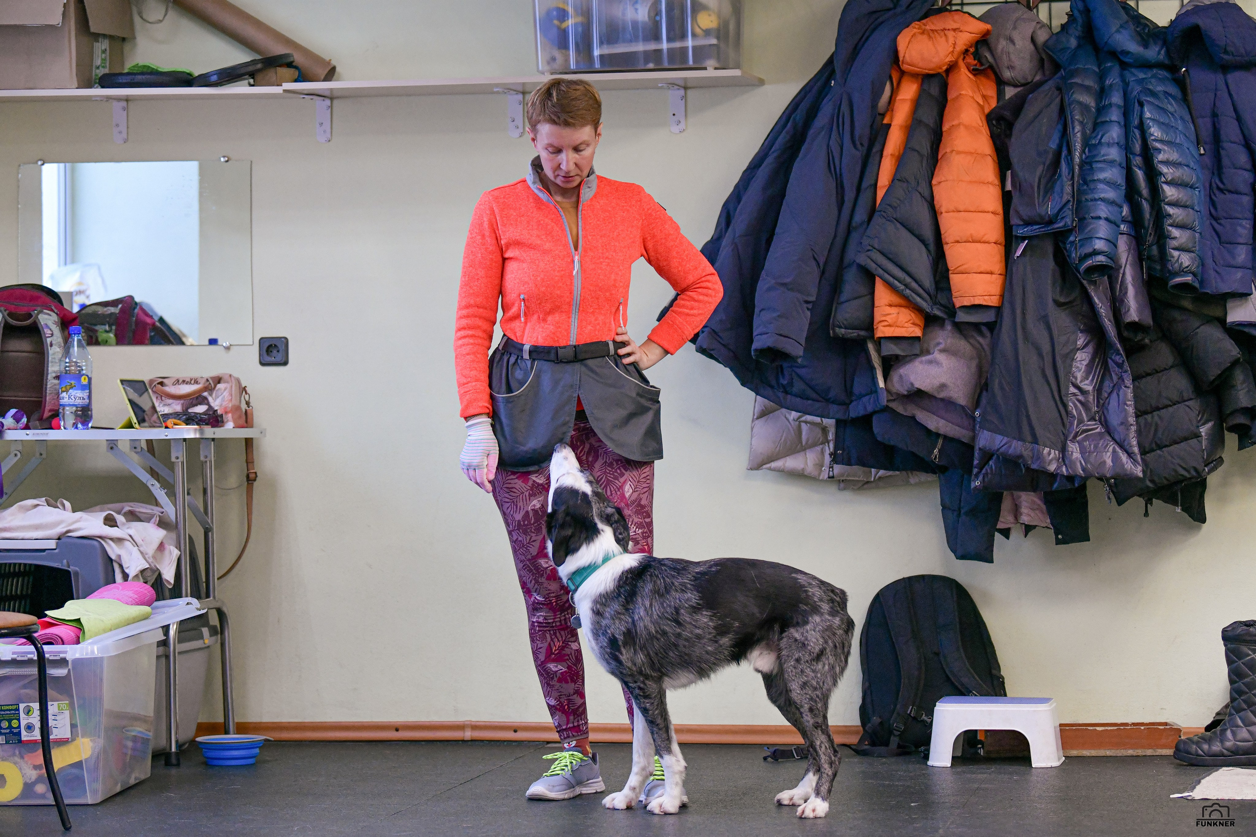 Кинологический клуб «Бодрый хвост». Свой взгляд через объектив