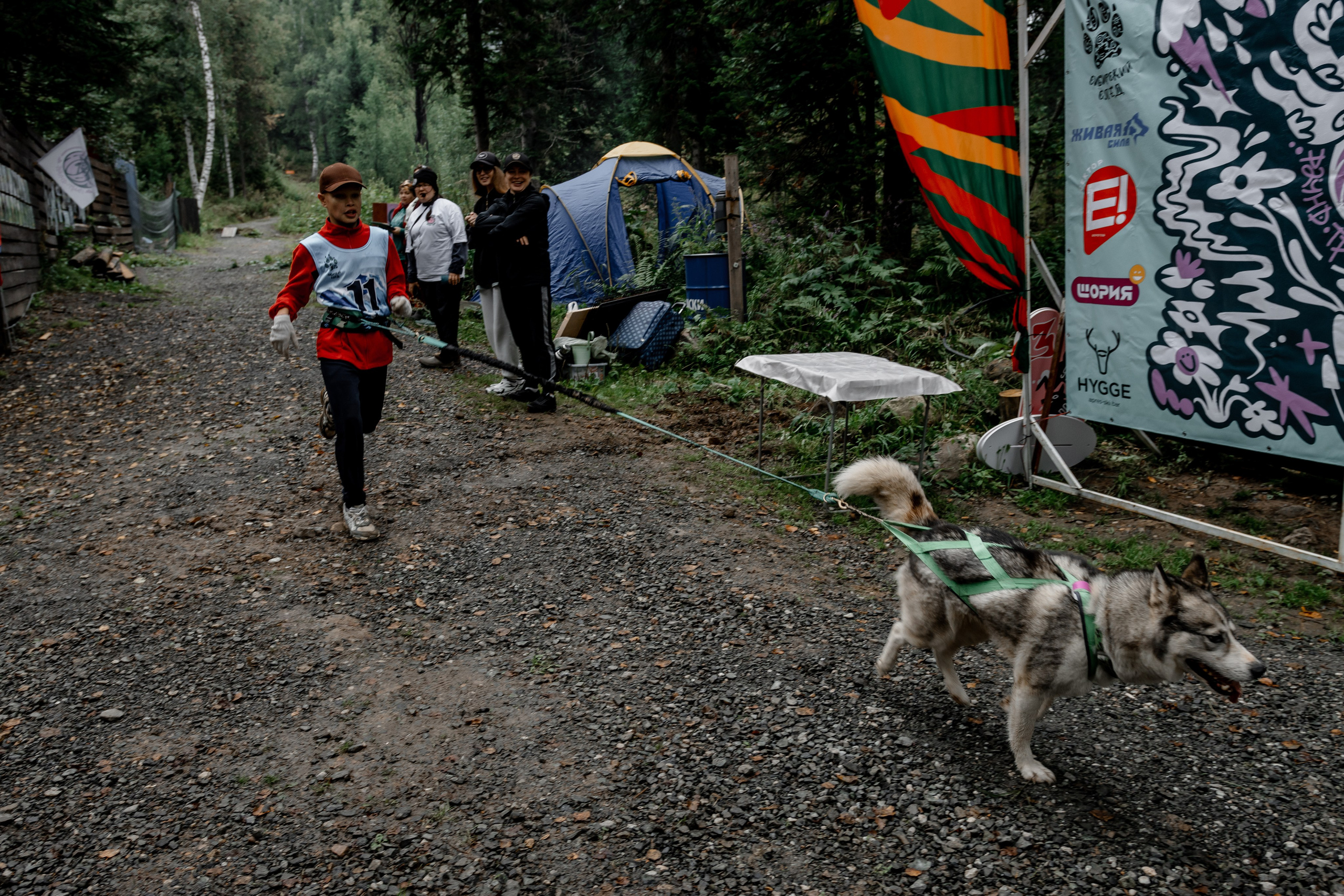Дог-треккинг