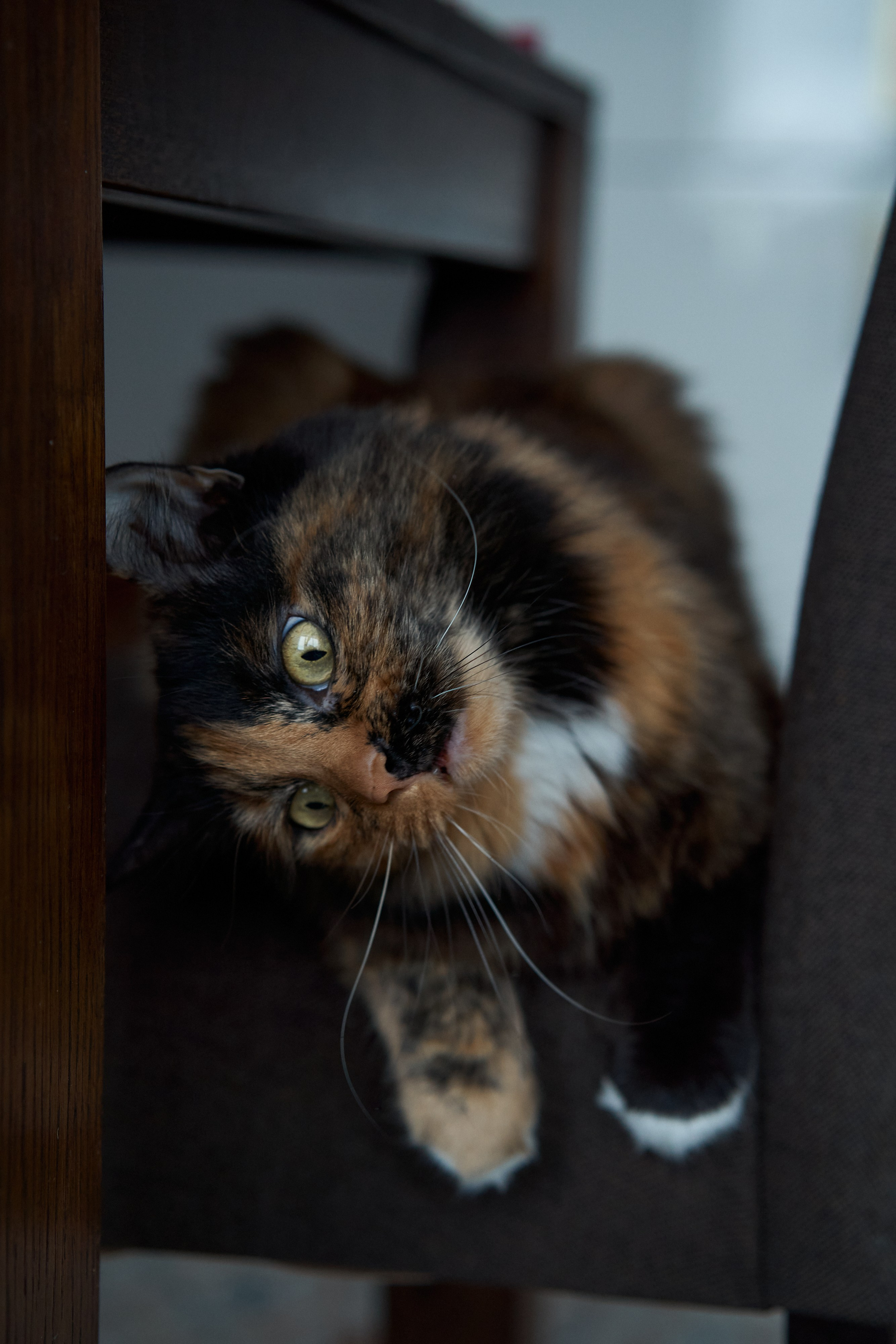 Дизайнер интерьера. Портретный фотограф в Санкт-Петербурге Анна Тукаева