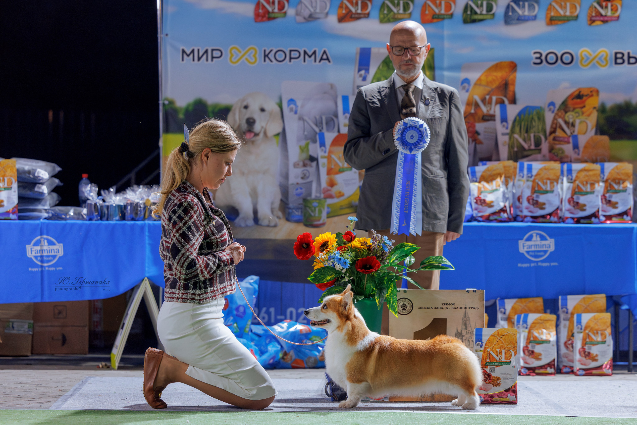 Калининград 25-27.07 Волгоград 1-3.08 2025. Фотограф-анималист Юлия Германика