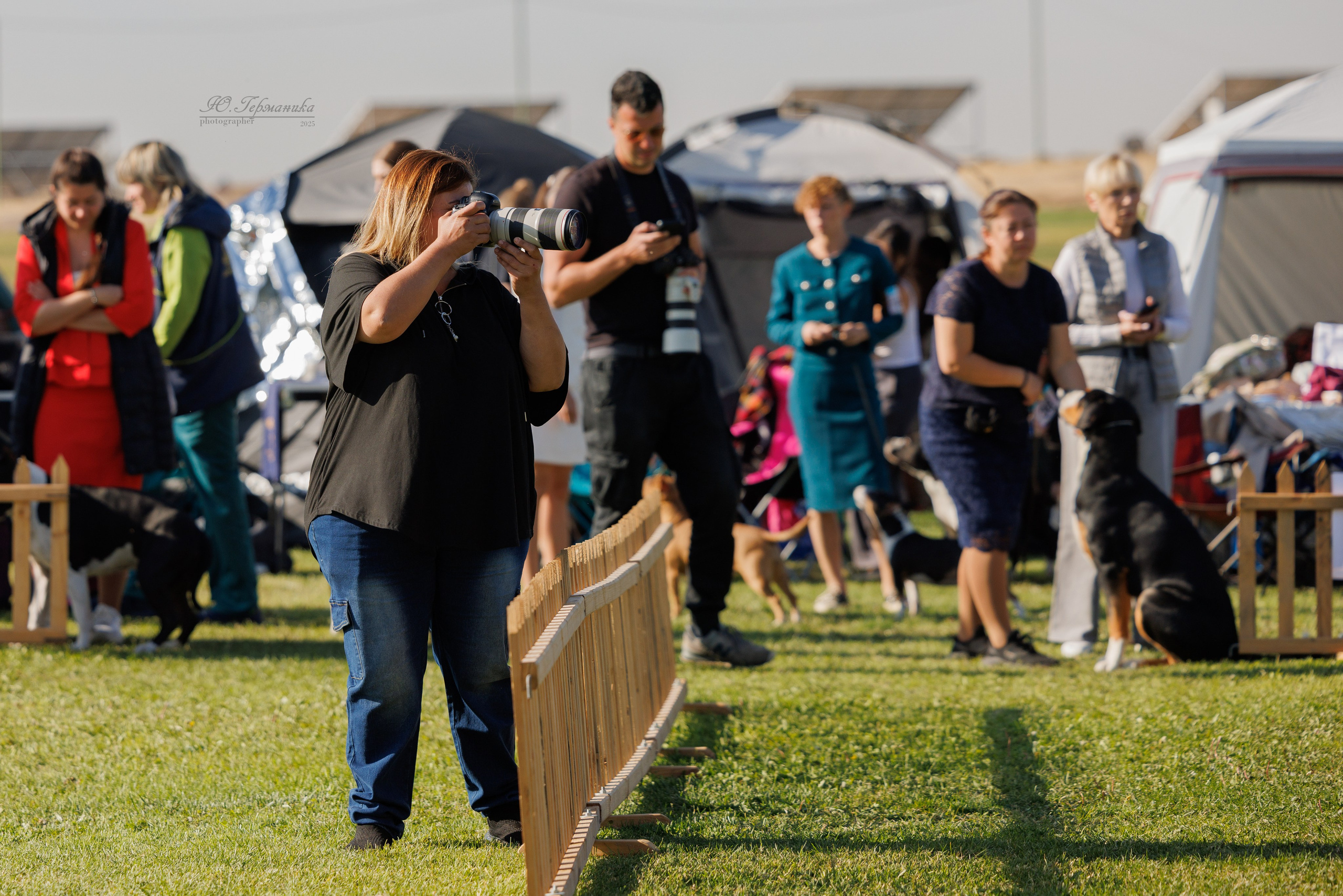 Ереван 14-16.10.2025. Фотограф-анималист Юлия Германика