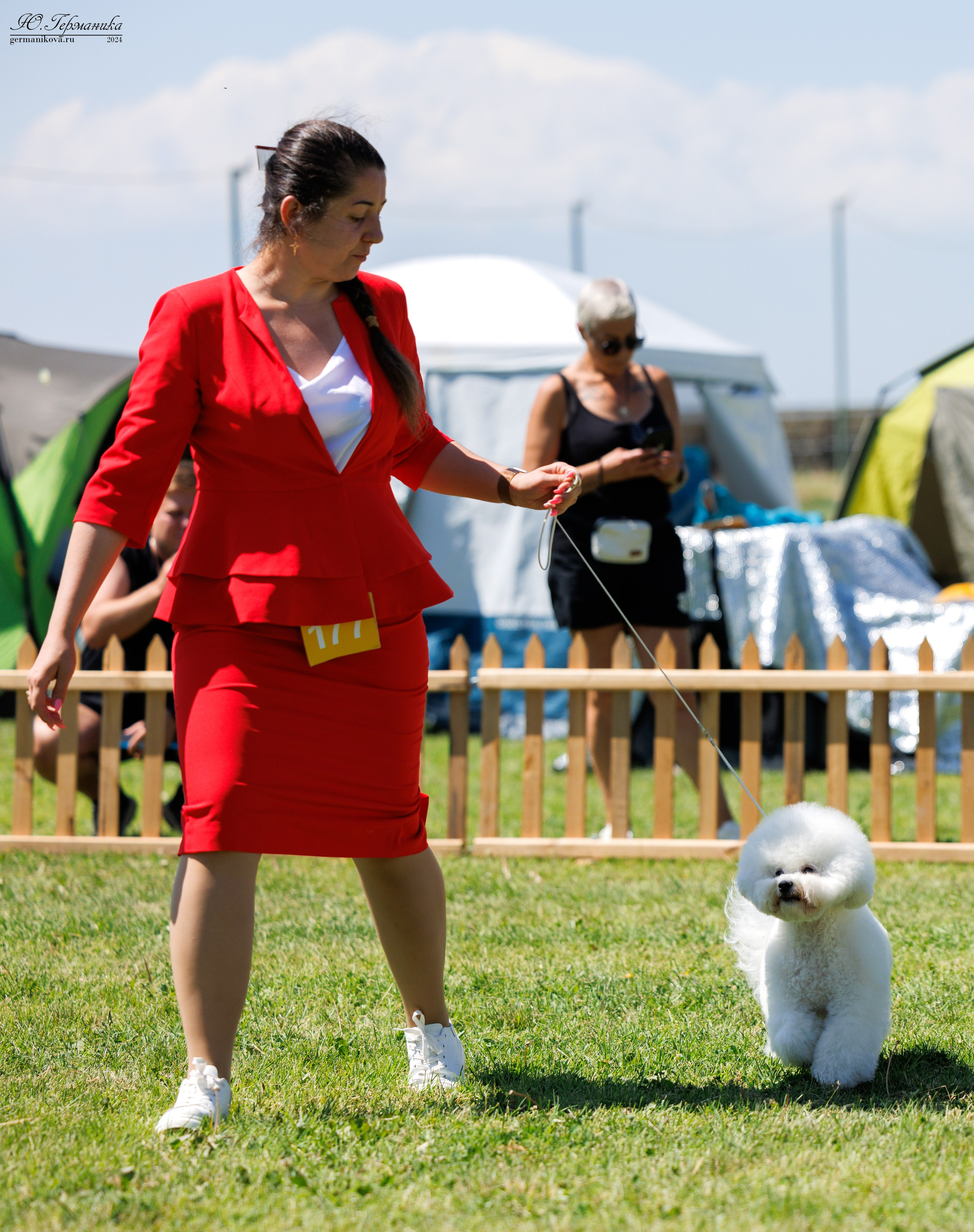 Ереван 3-5.06.2024. Фотограф-анималист Юлия Германика