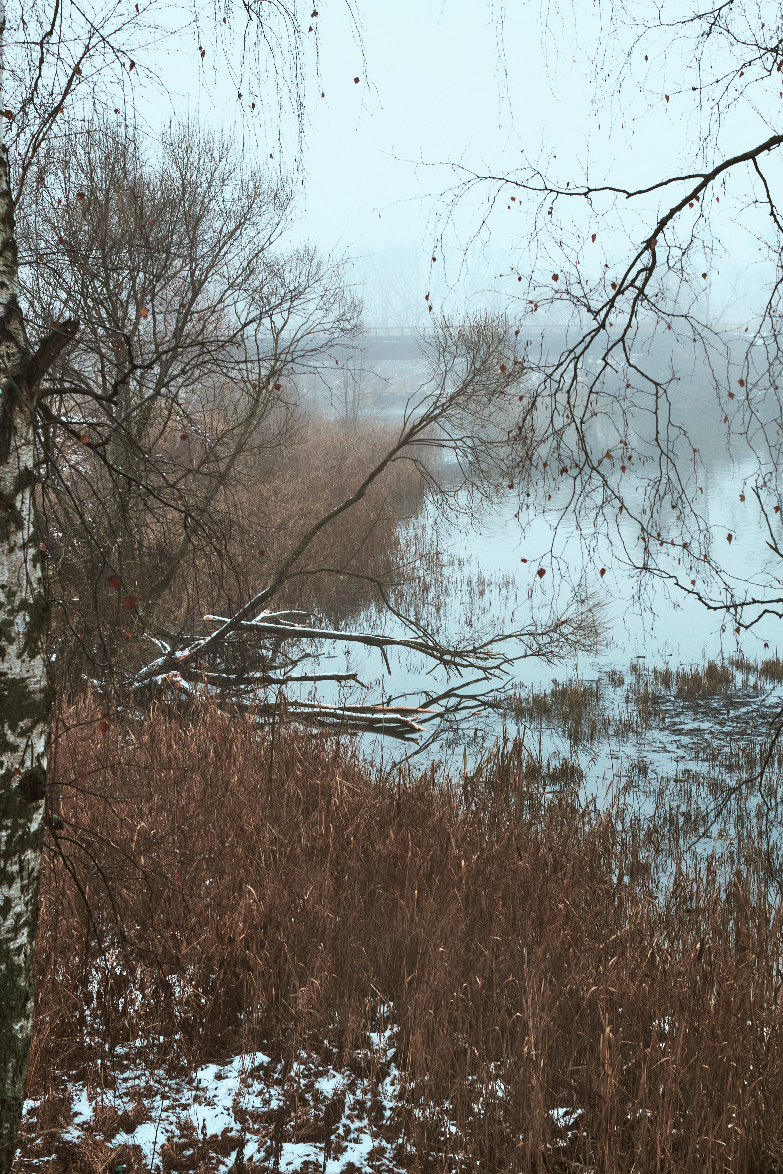 Съемкав туман. Фотограф для маркетплейсов в Иваново | Съемки одежды и белья