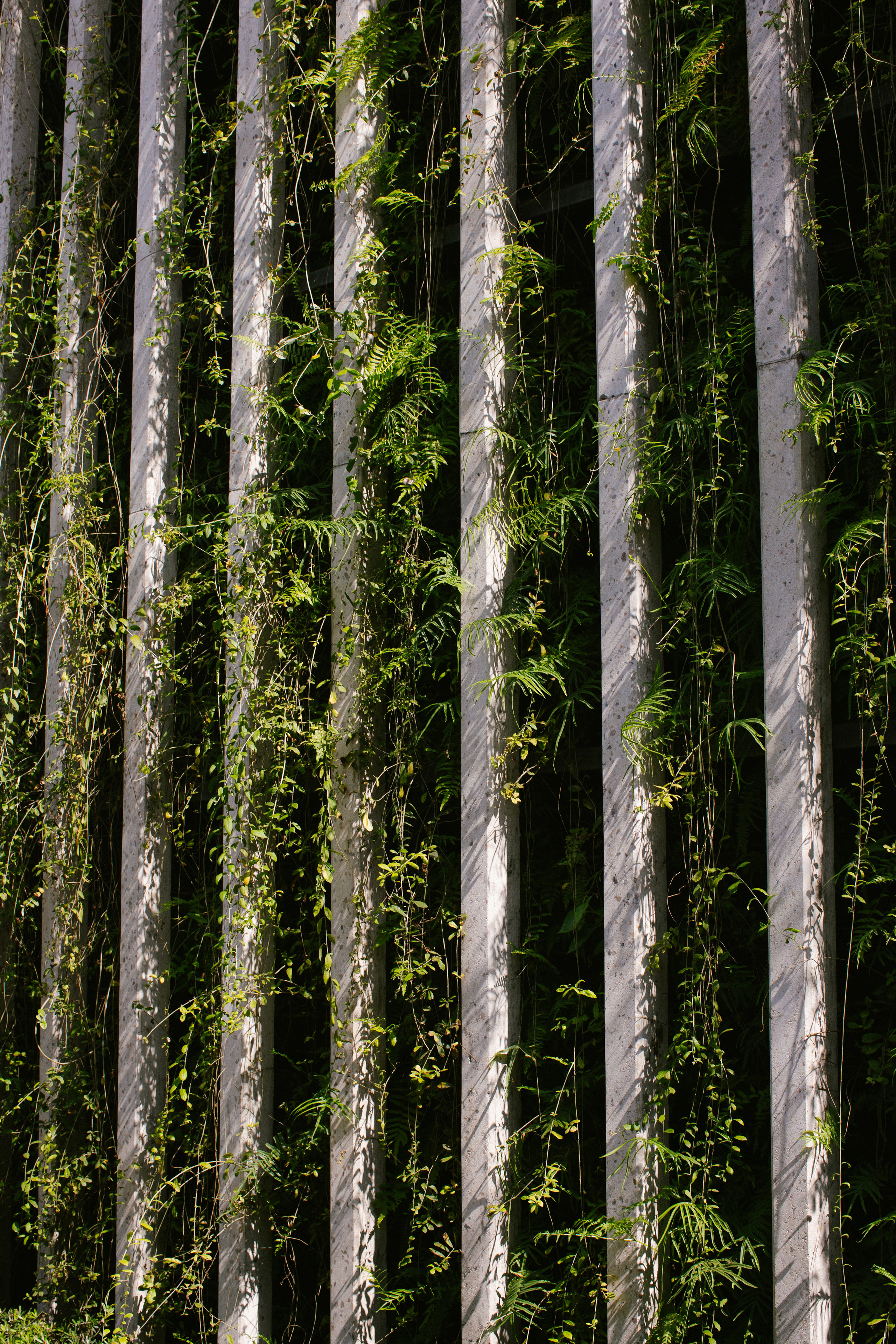 Bangkok. Thailand. Wedding Event ART Photographer