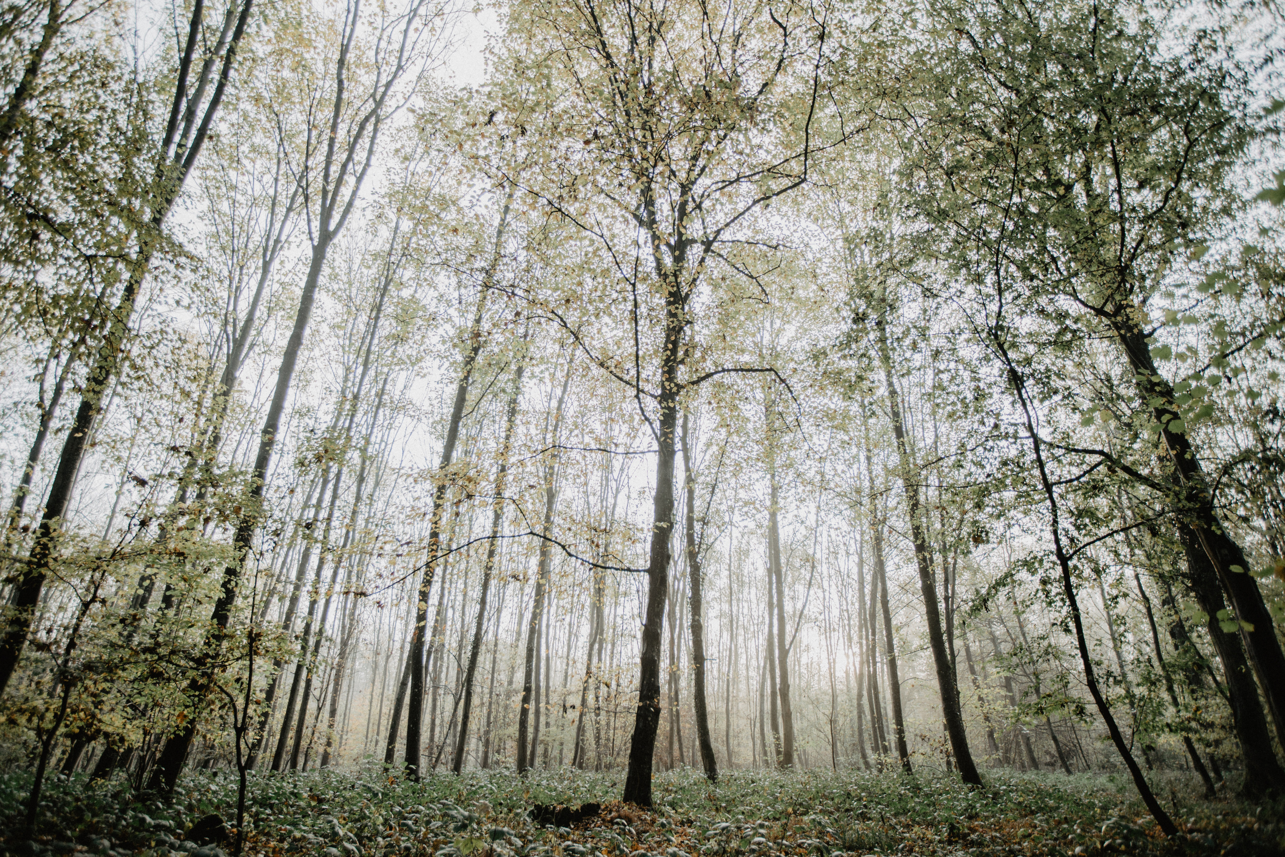 Deutschland. Wedding Event ART Photographer