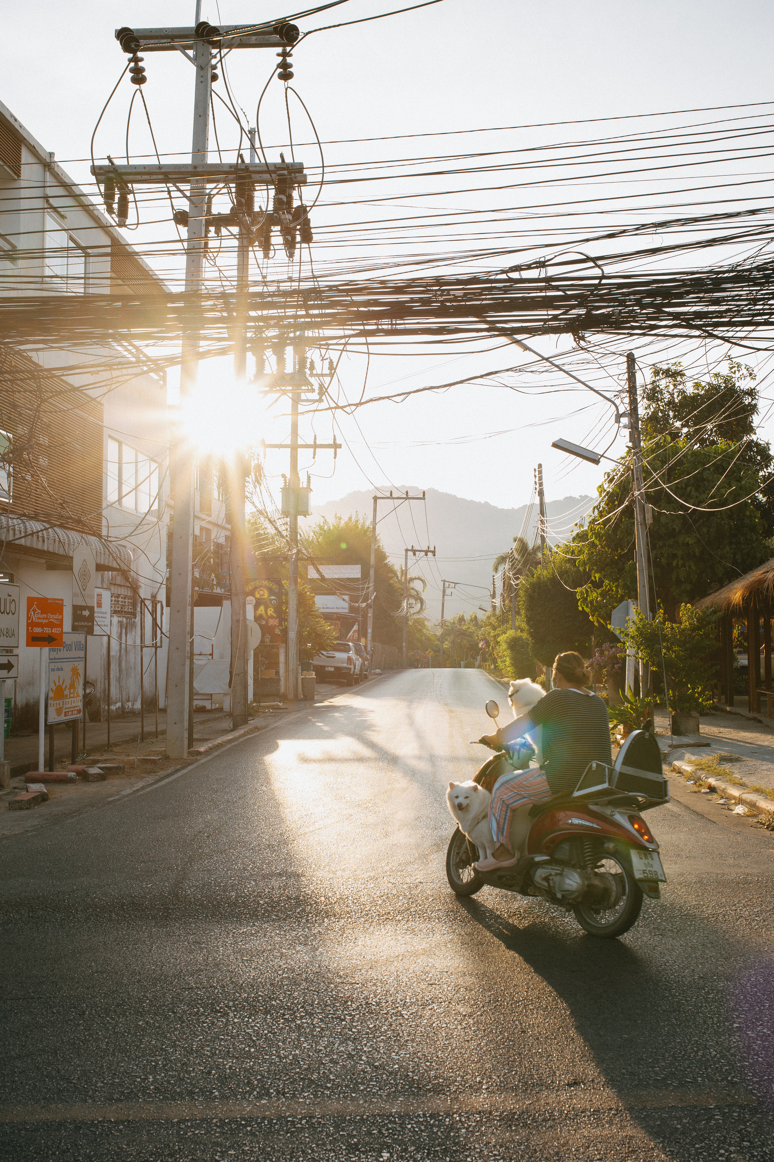 Phuket. Thailand. Wedding Event ART Photographer