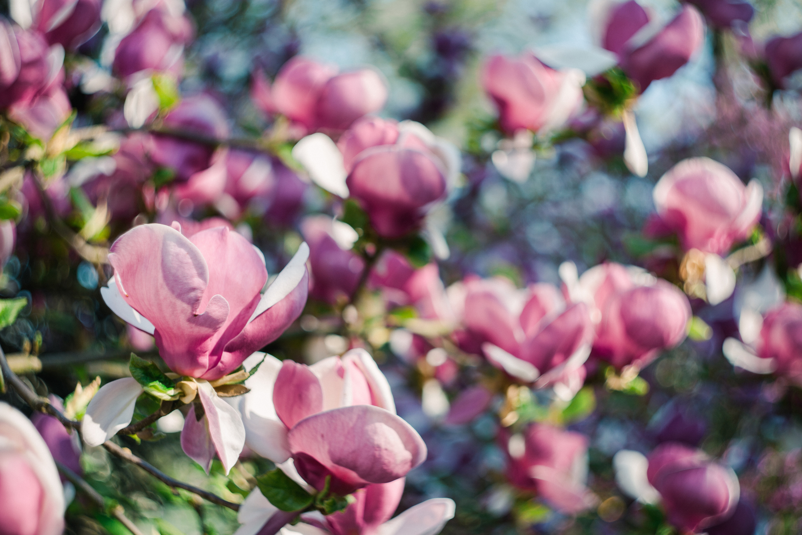 Deutschland. Wedding Event ART Photographer