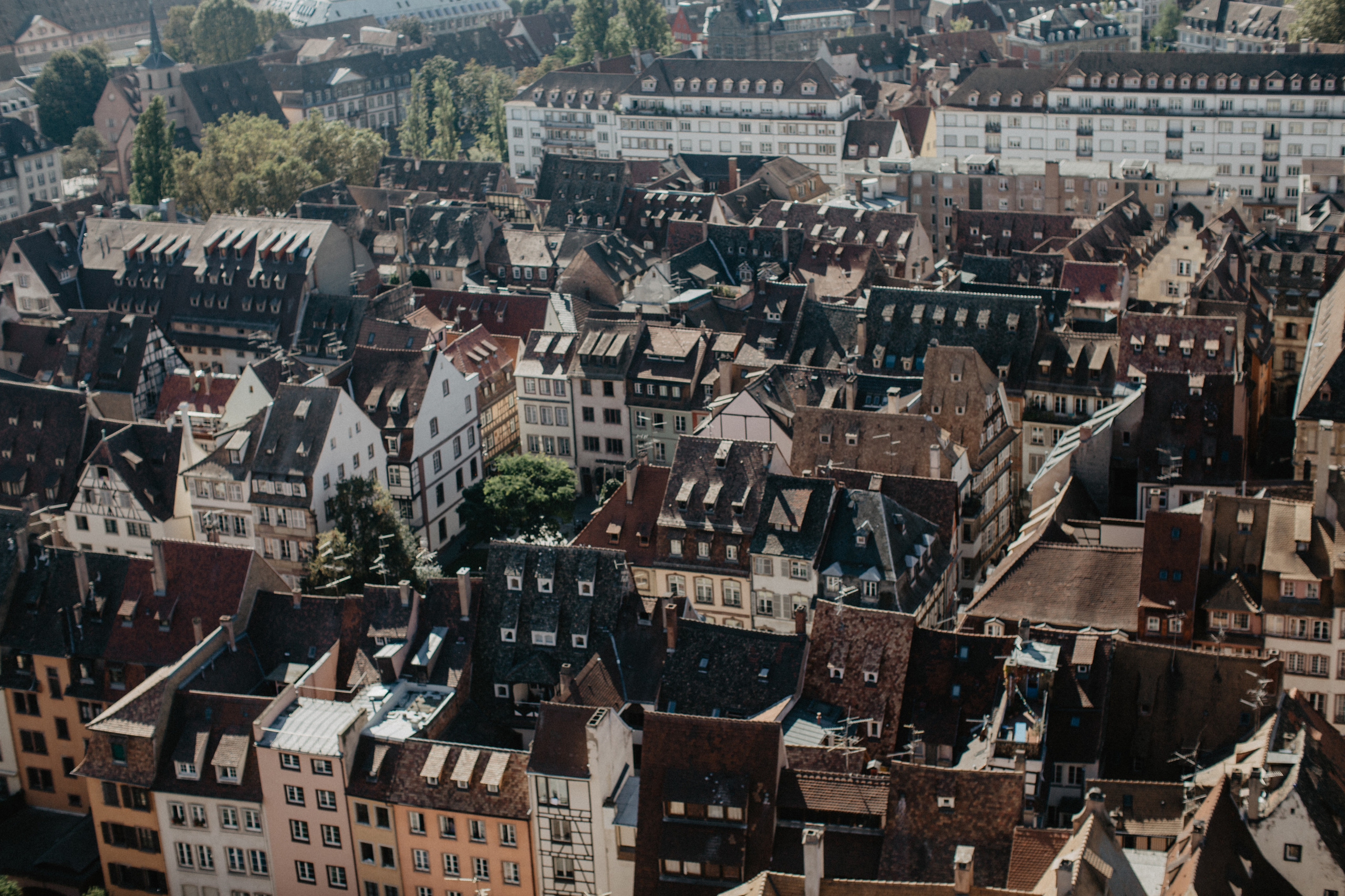 France. (Paris. Strasbourg. Corsica). Wedding Event ART Photographer