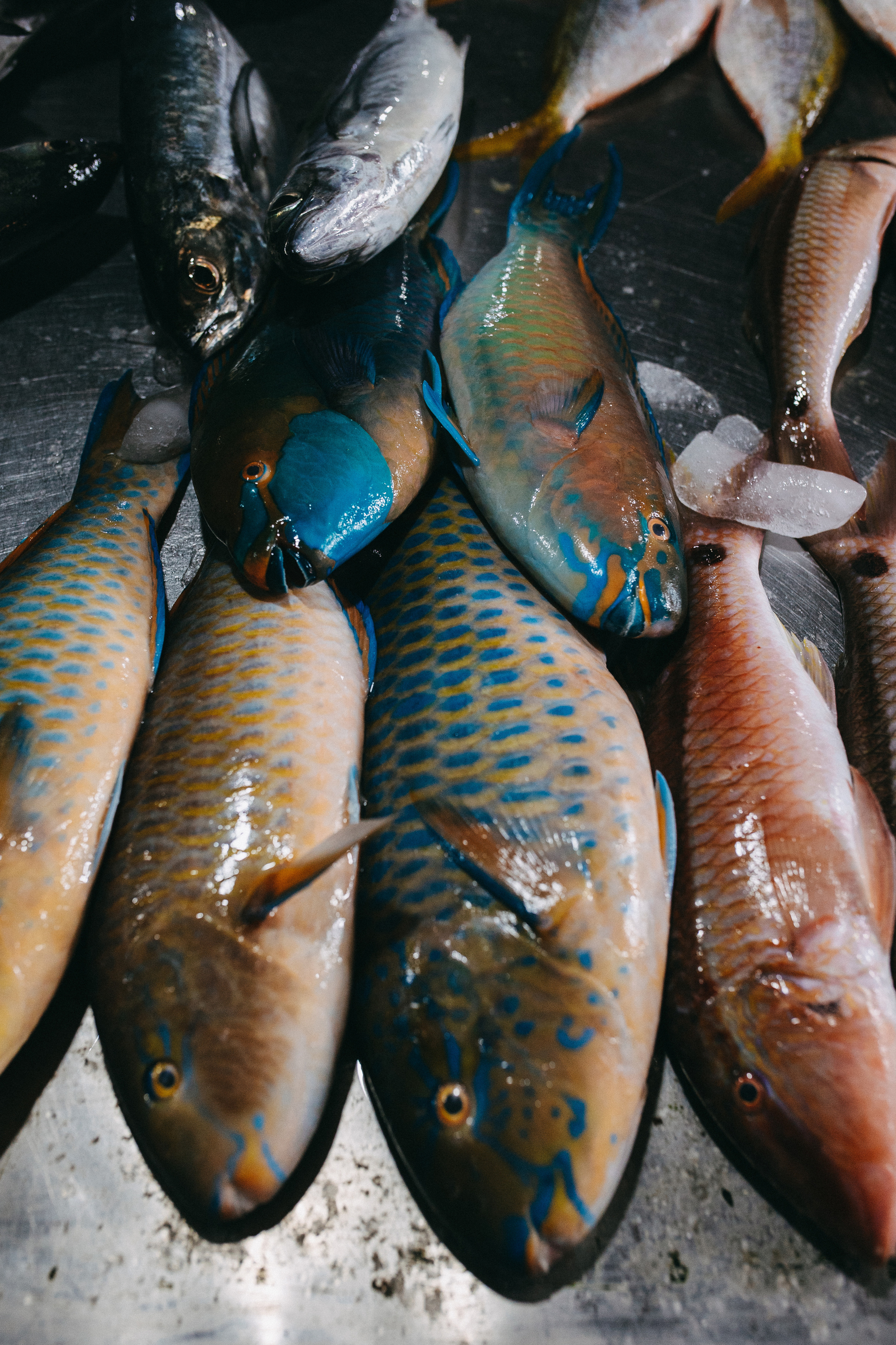 Phuket. Thailand. Wedding Event ART Photographer