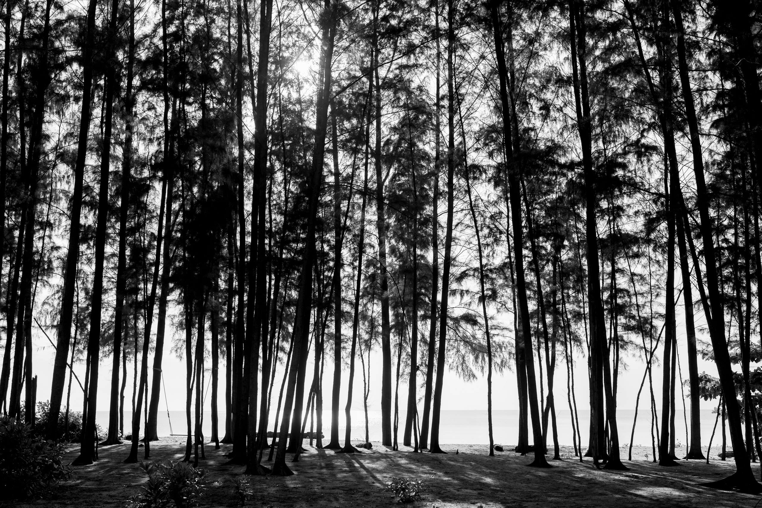 Phuket. Thailand. Wedding Event ART Photographer