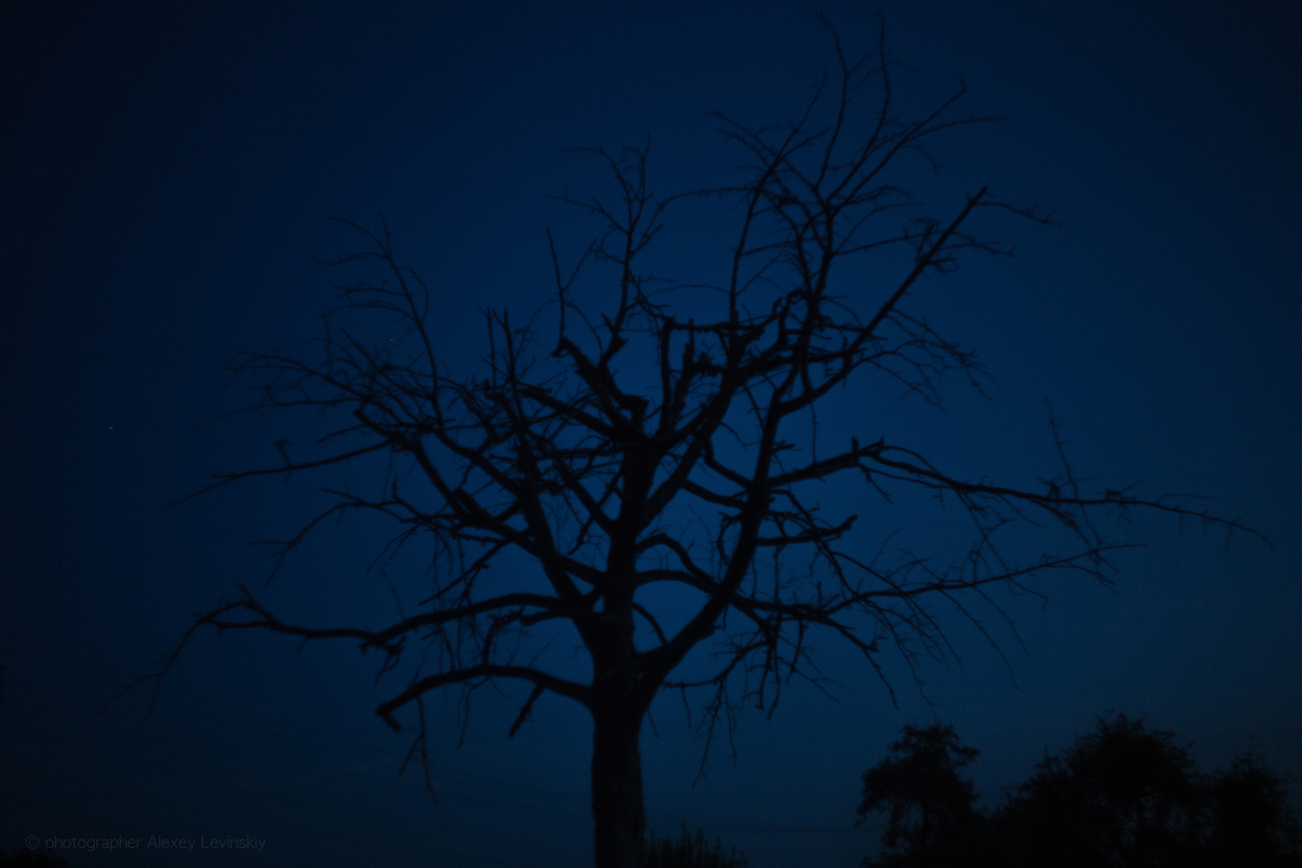 Deutschland. Wedding Event ART Photographer