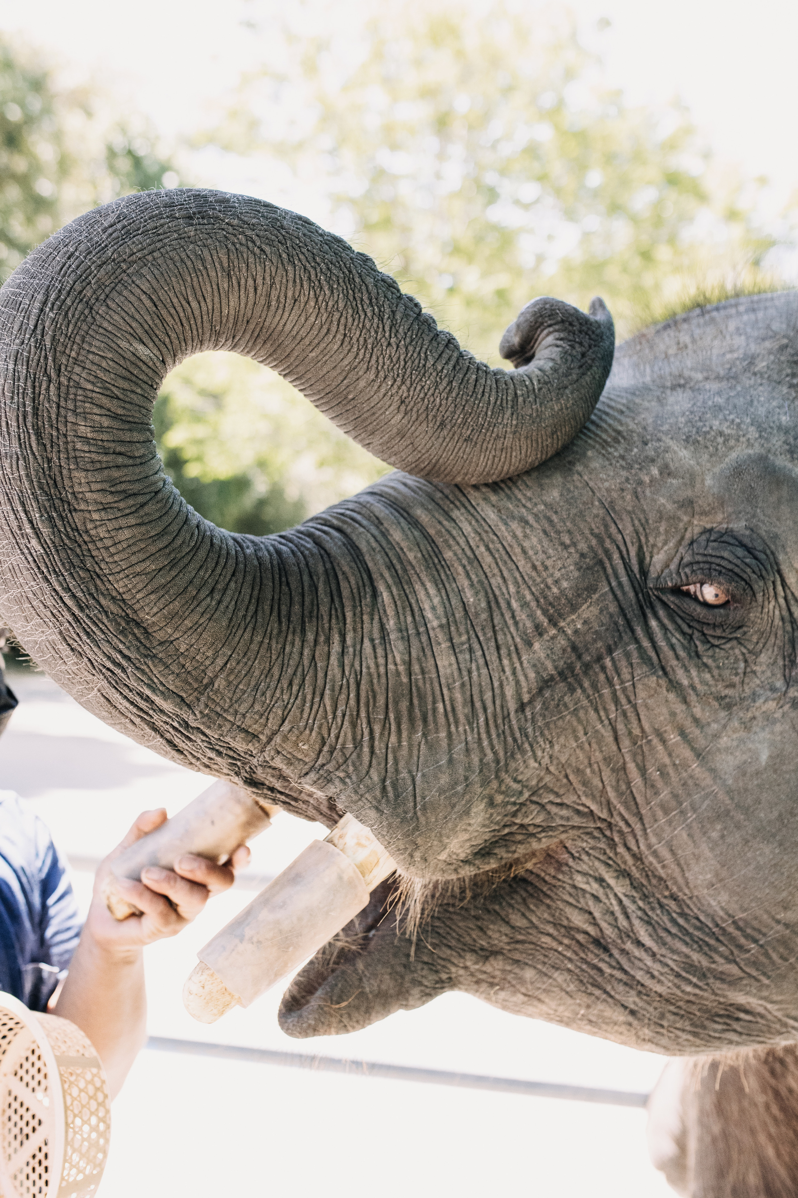 Phuket. Thailand. Wedding Event ART Photographer