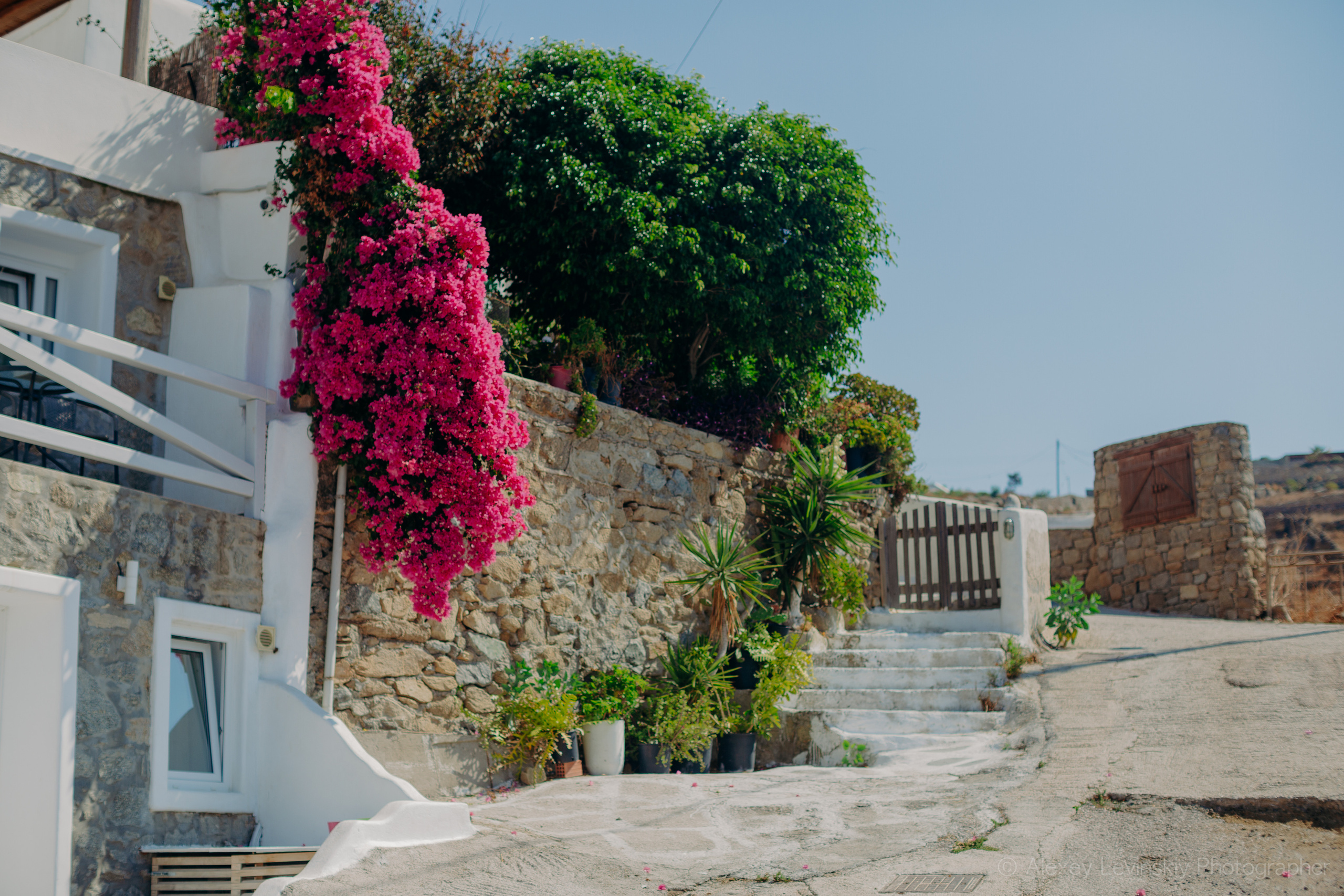 Greece. (Santorini. Mykonos. Corfu). Wedding Event ART Photographer