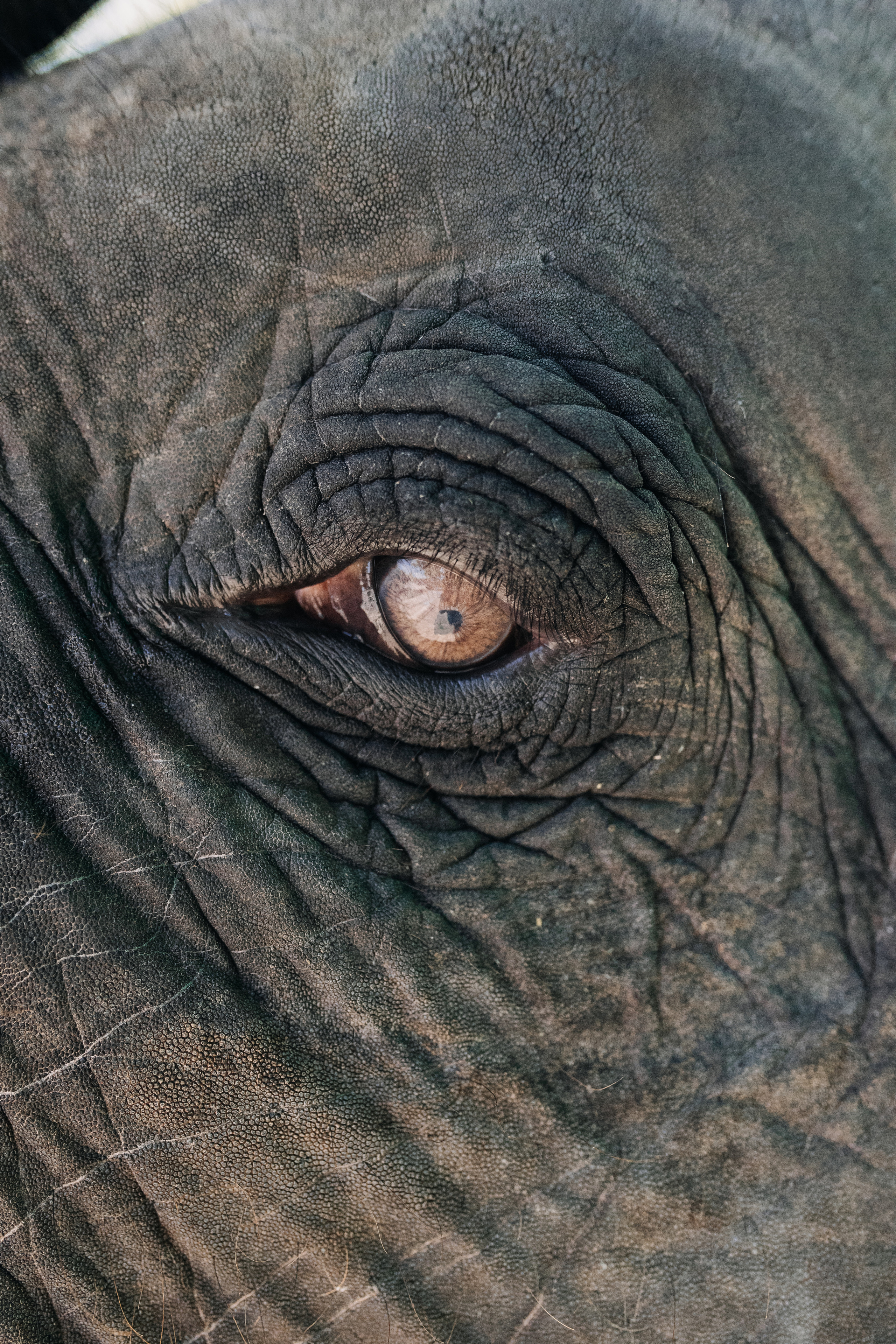 Phuket. Thailand. Wedding Event ART Photographer