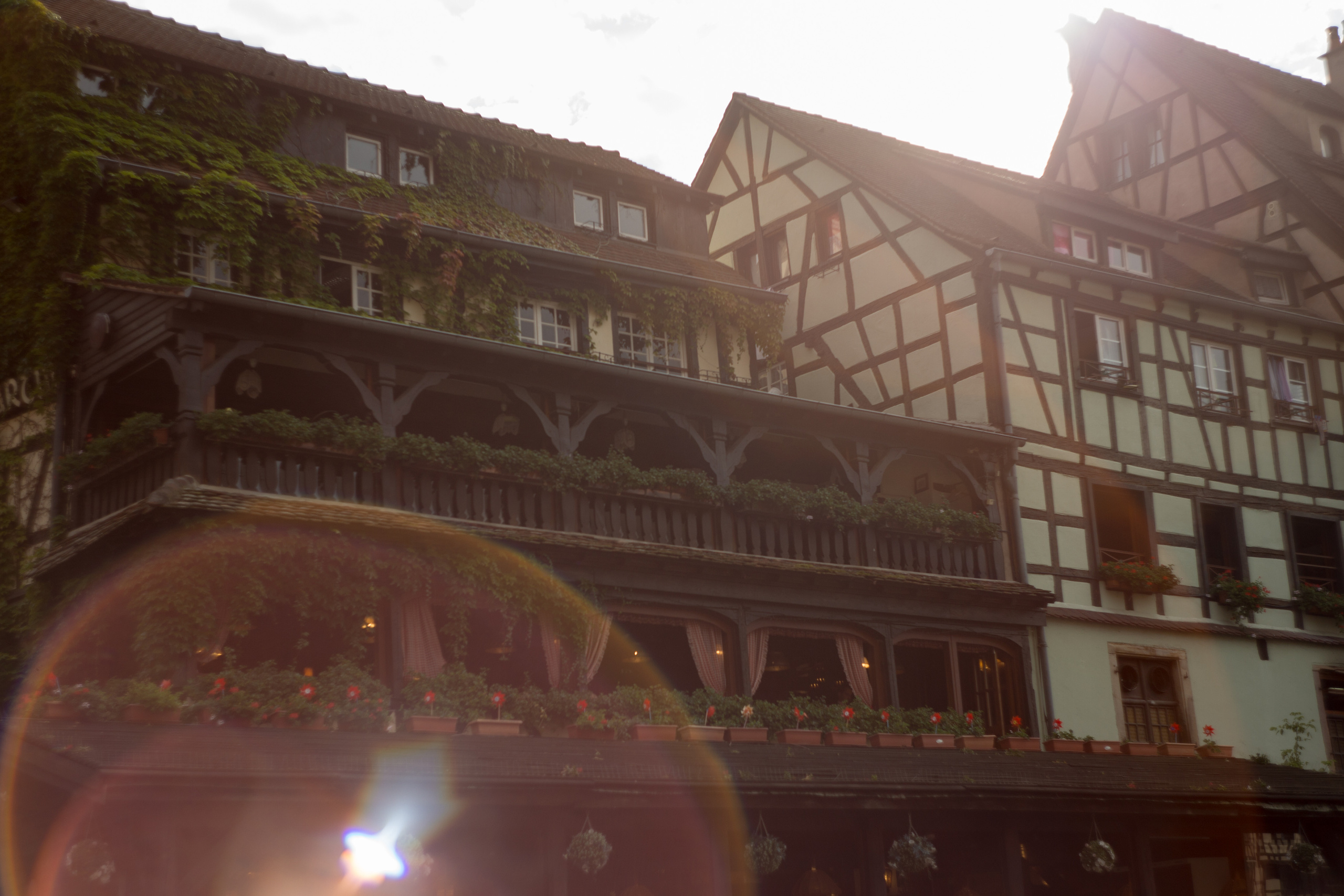 France. (Paris. Strasbourg. Corsica). Wedding Event ART Photographer