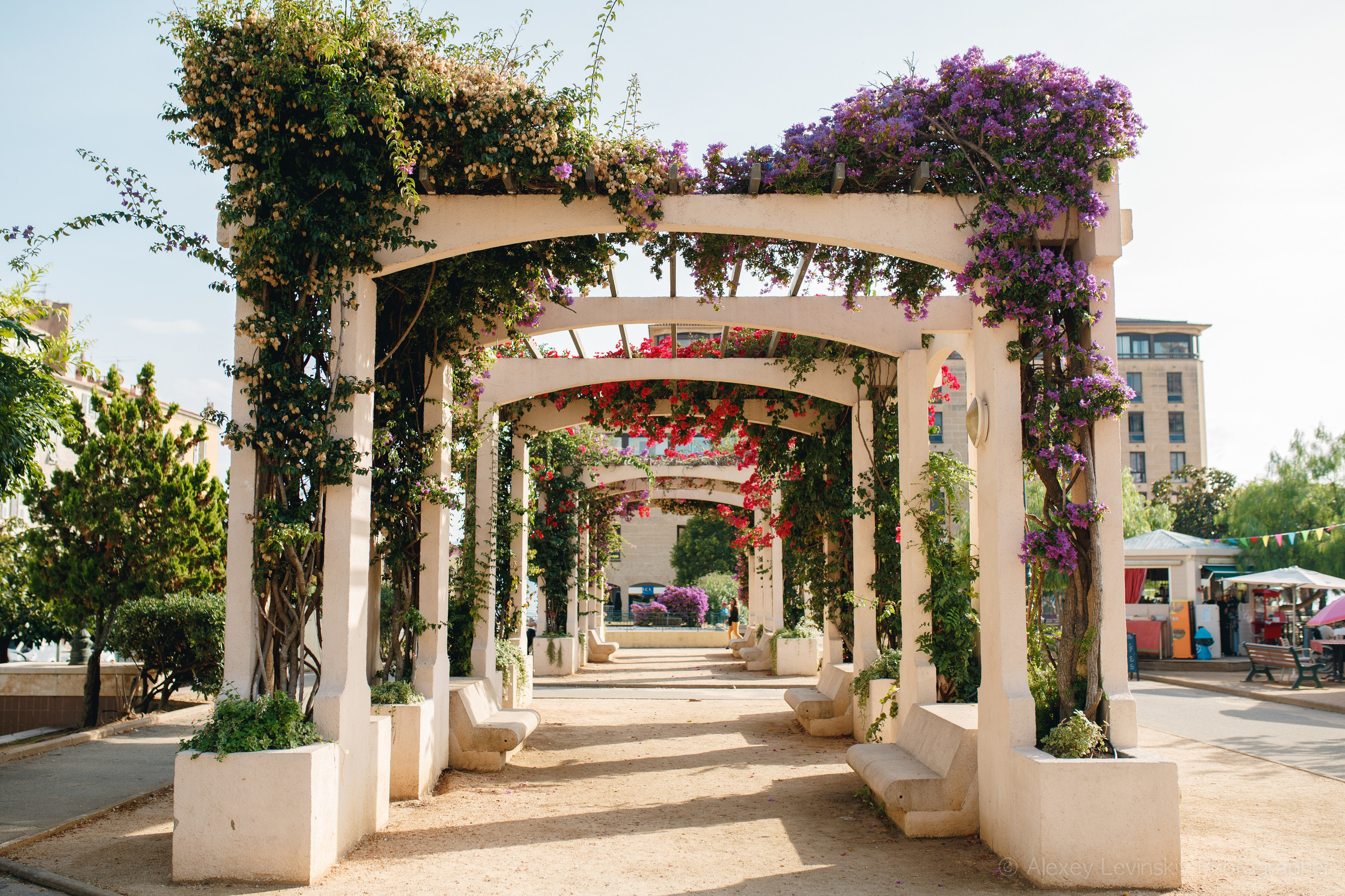 France. (Paris. Strasbourg. Corsica). Wedding Event ART Photographer