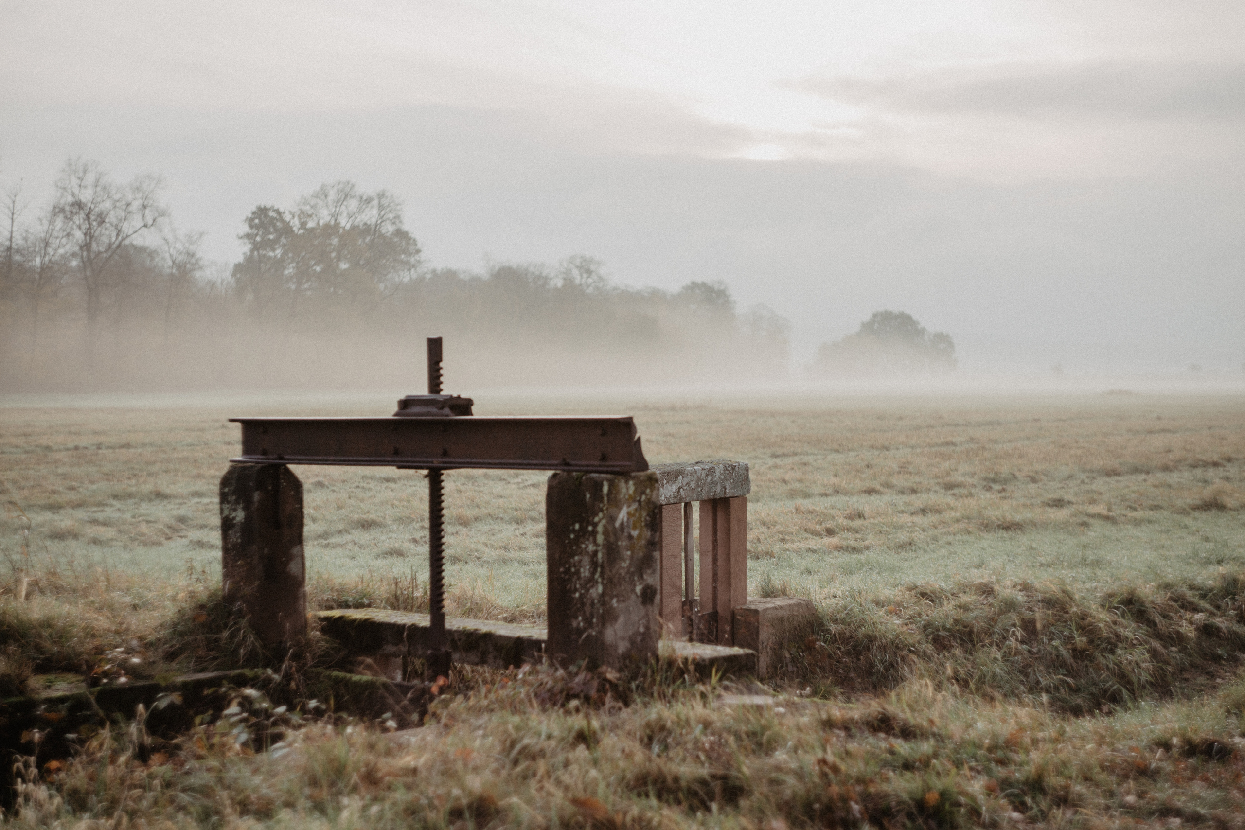 Deutschland. Wedding Event ART Photographer