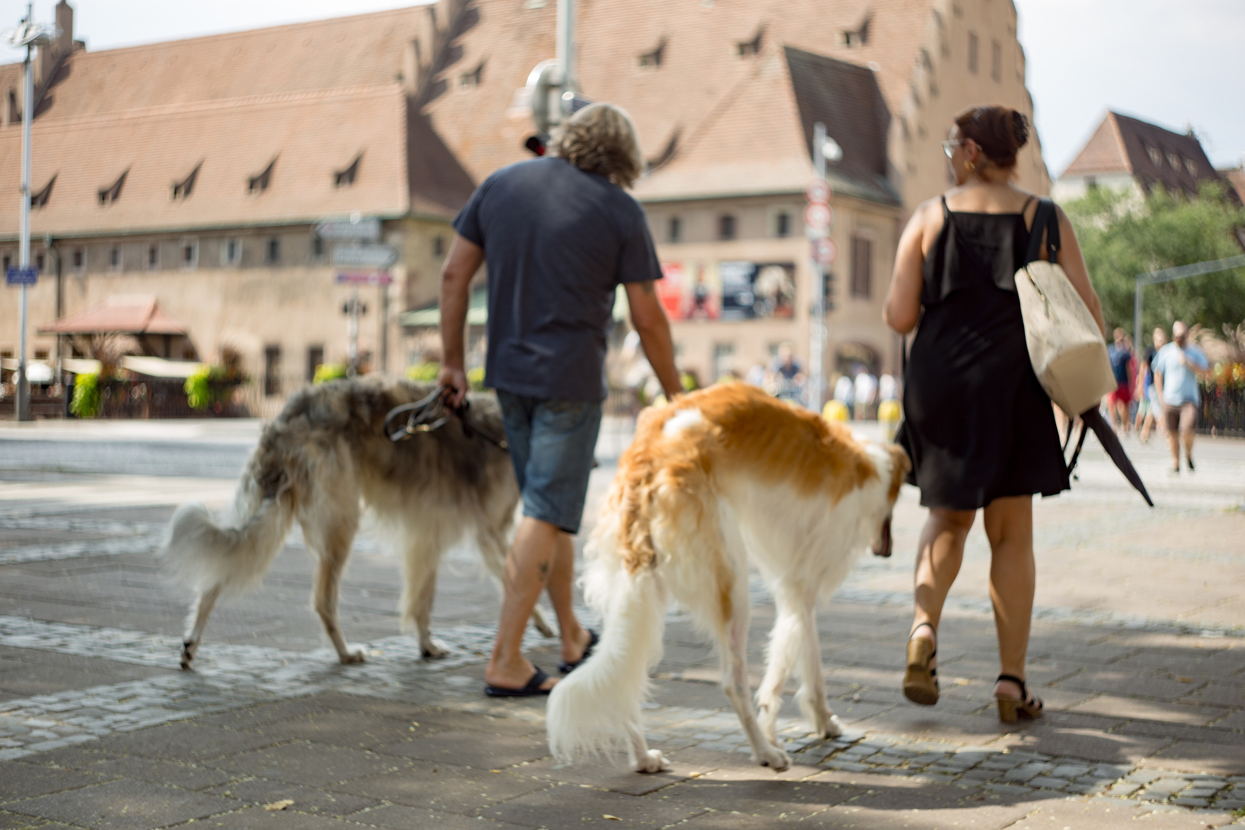 France. (Paris. Strasbourg. Corsica). Wedding Event ART Photographer