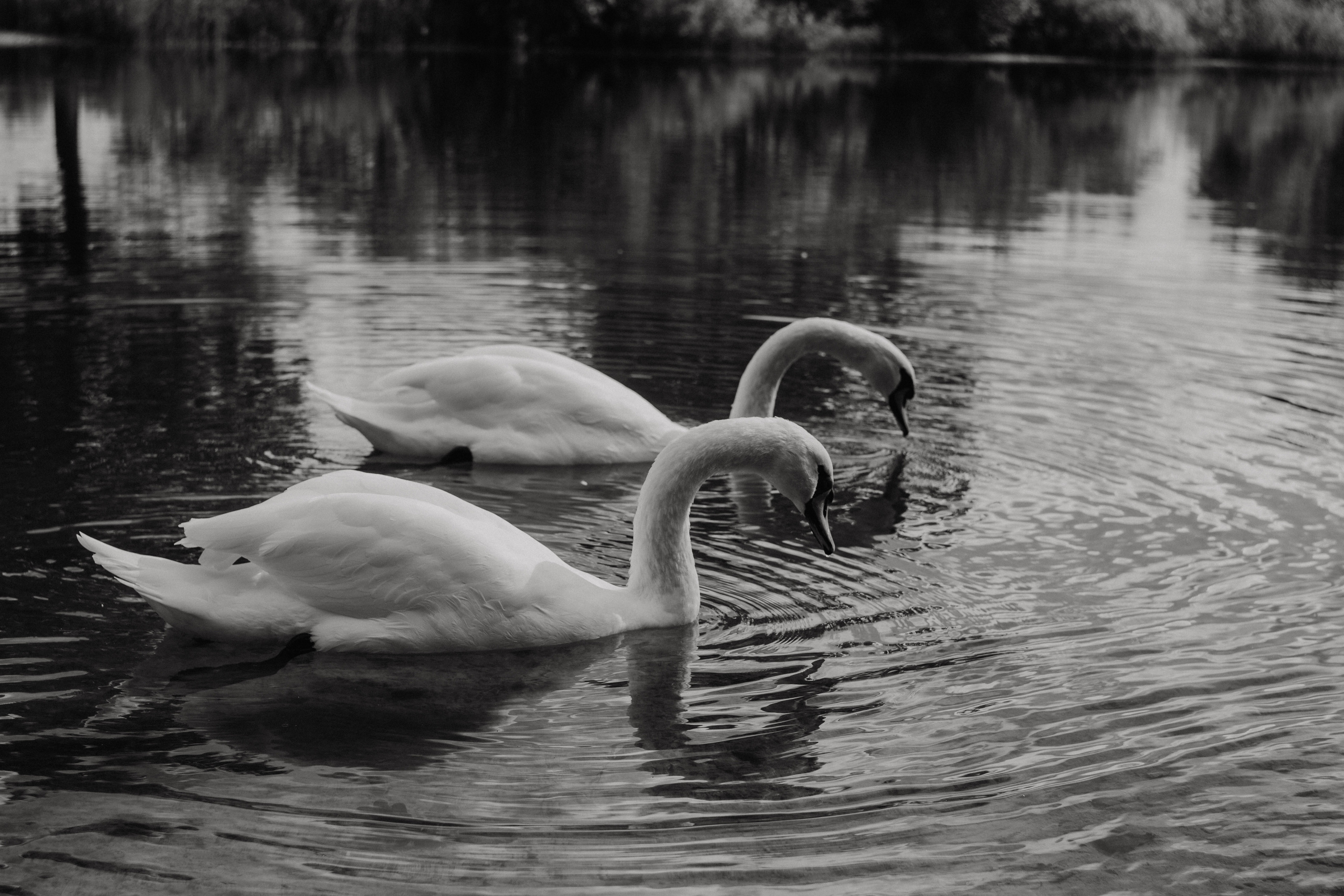 Deutschland. Wedding Event ART Photographer