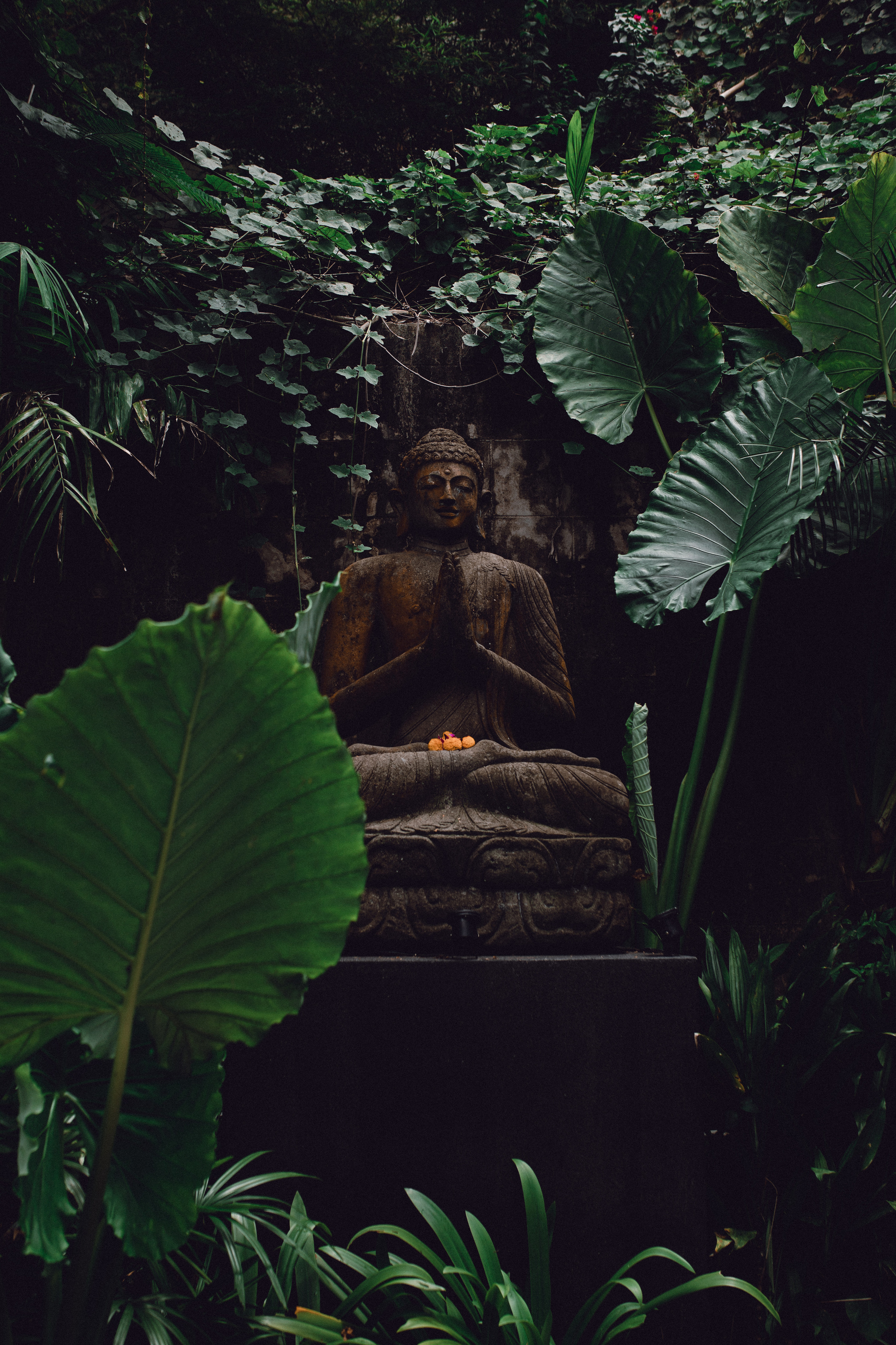 Phuket. Thailand. Wedding Event ART Photographer