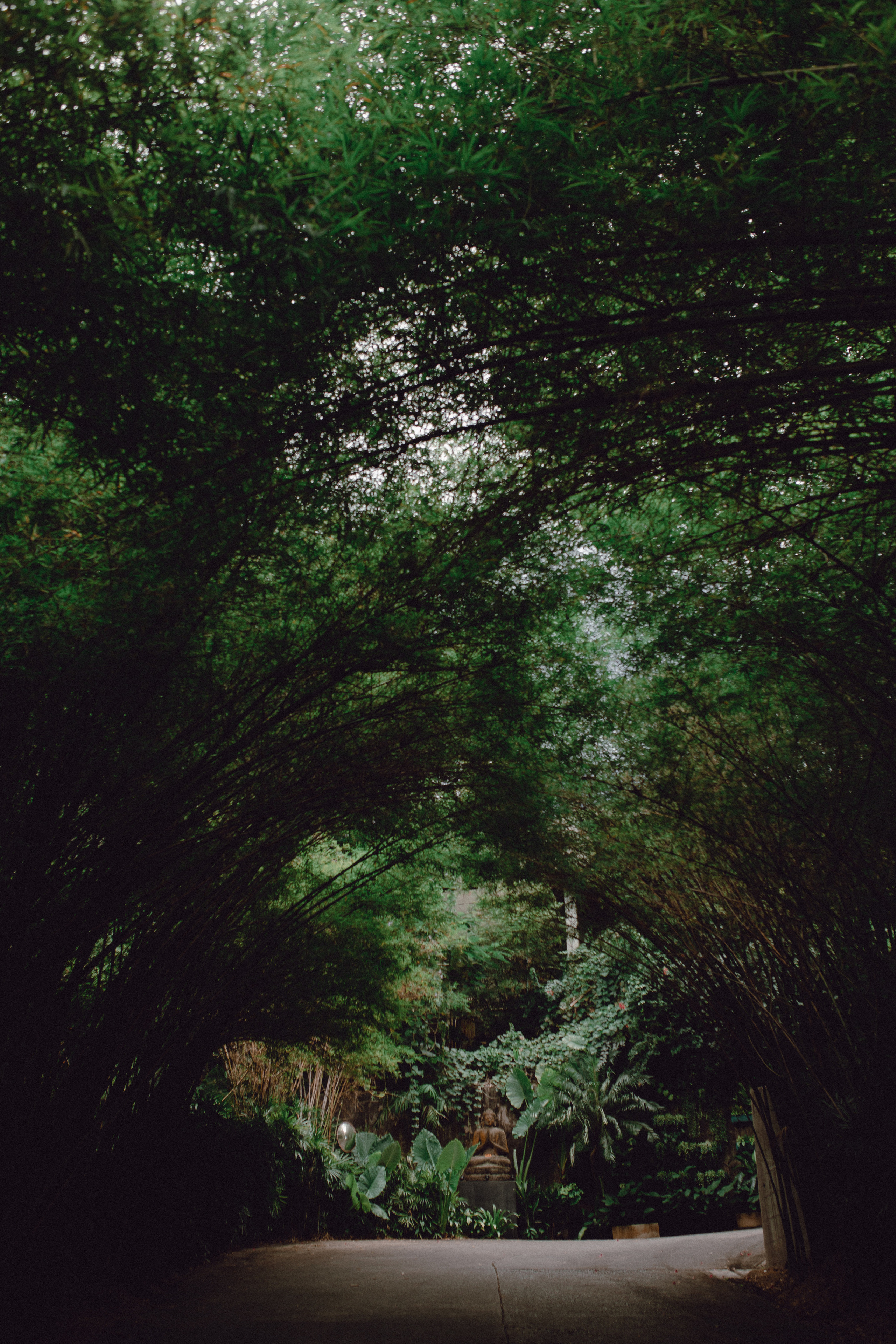 Phuket. Thailand. Wedding Event ART Photographer