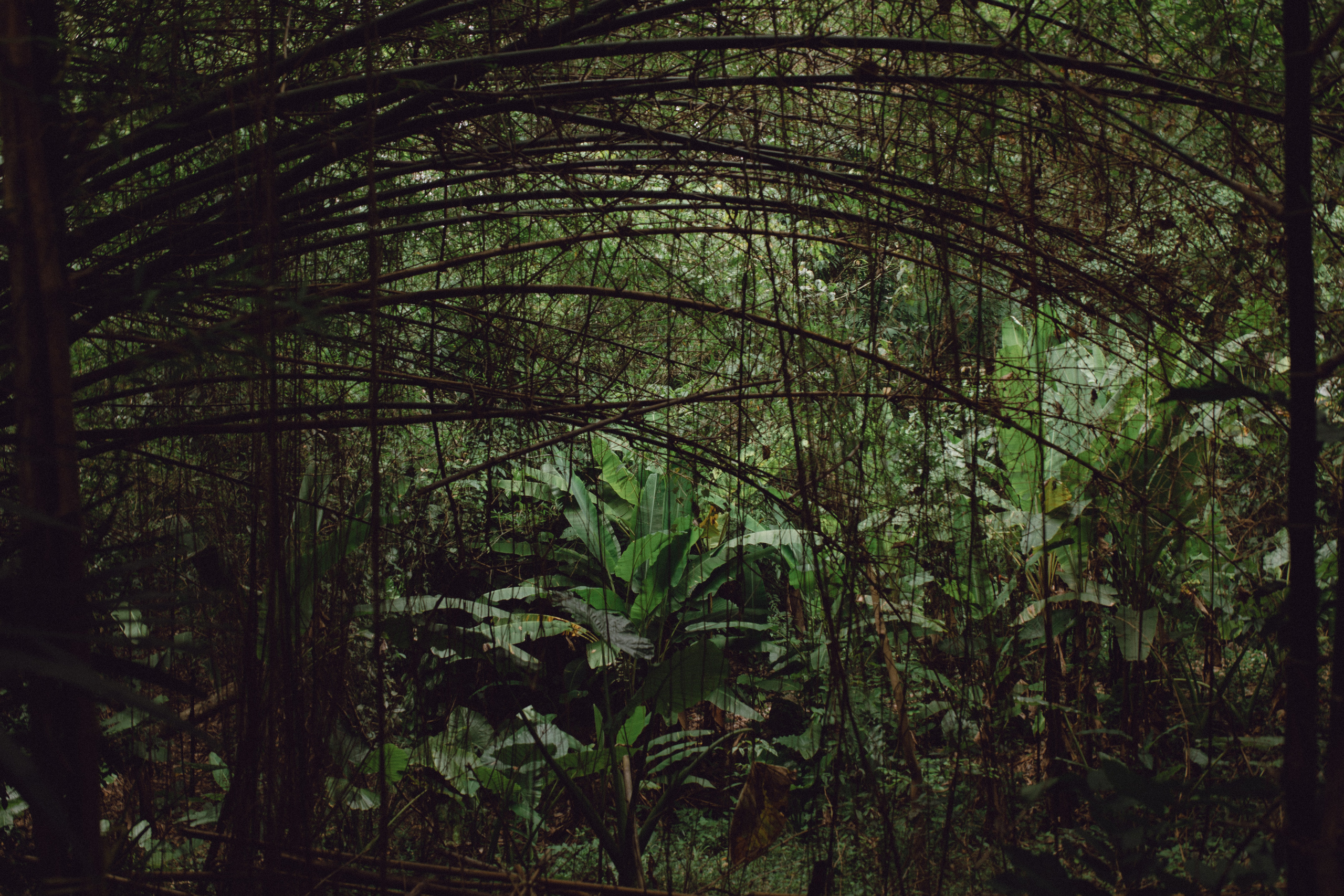 Phuket. Thailand. Wedding Event ART Photographer