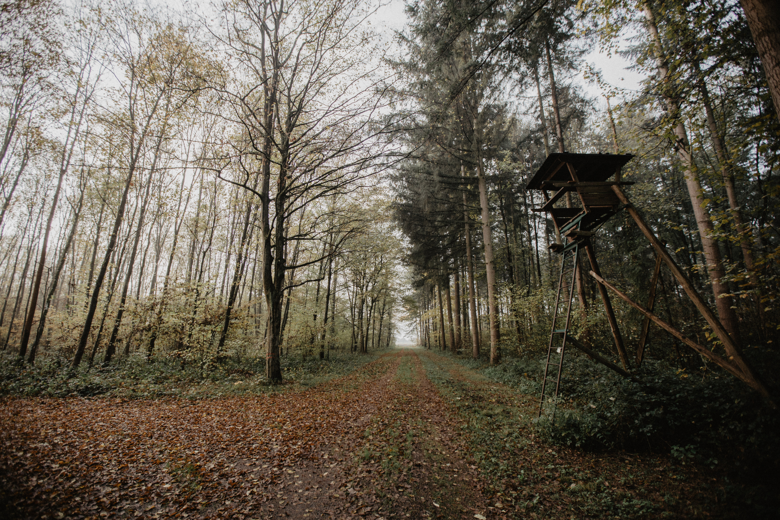 Deutschland. Wedding Event ART Photographer