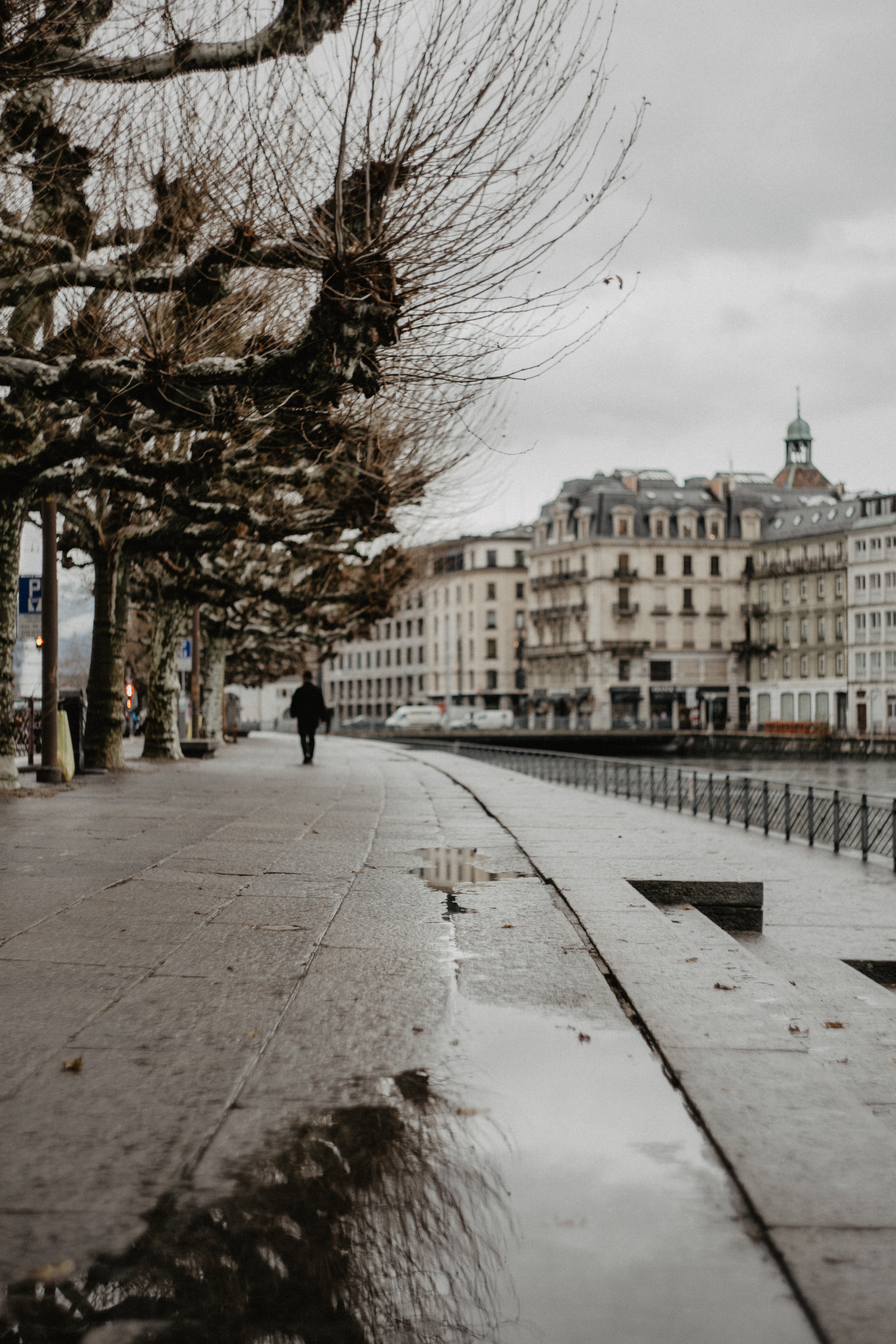 Switzerland (Zurih. Geneva. Basel. Luzern. Bern). Wedding Event ART Photographer