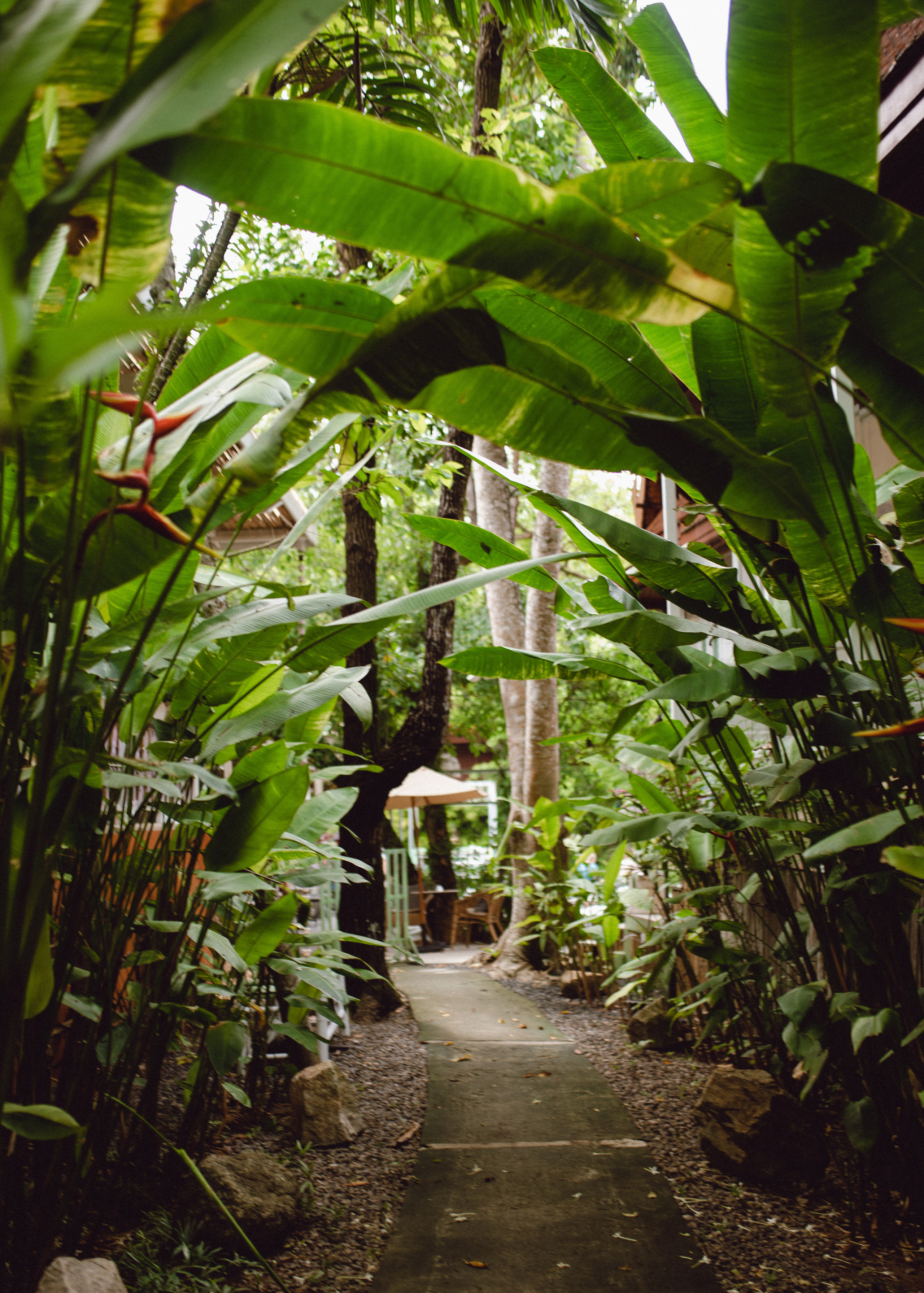 Phuket. Thailand. Wedding Event ART Photographer