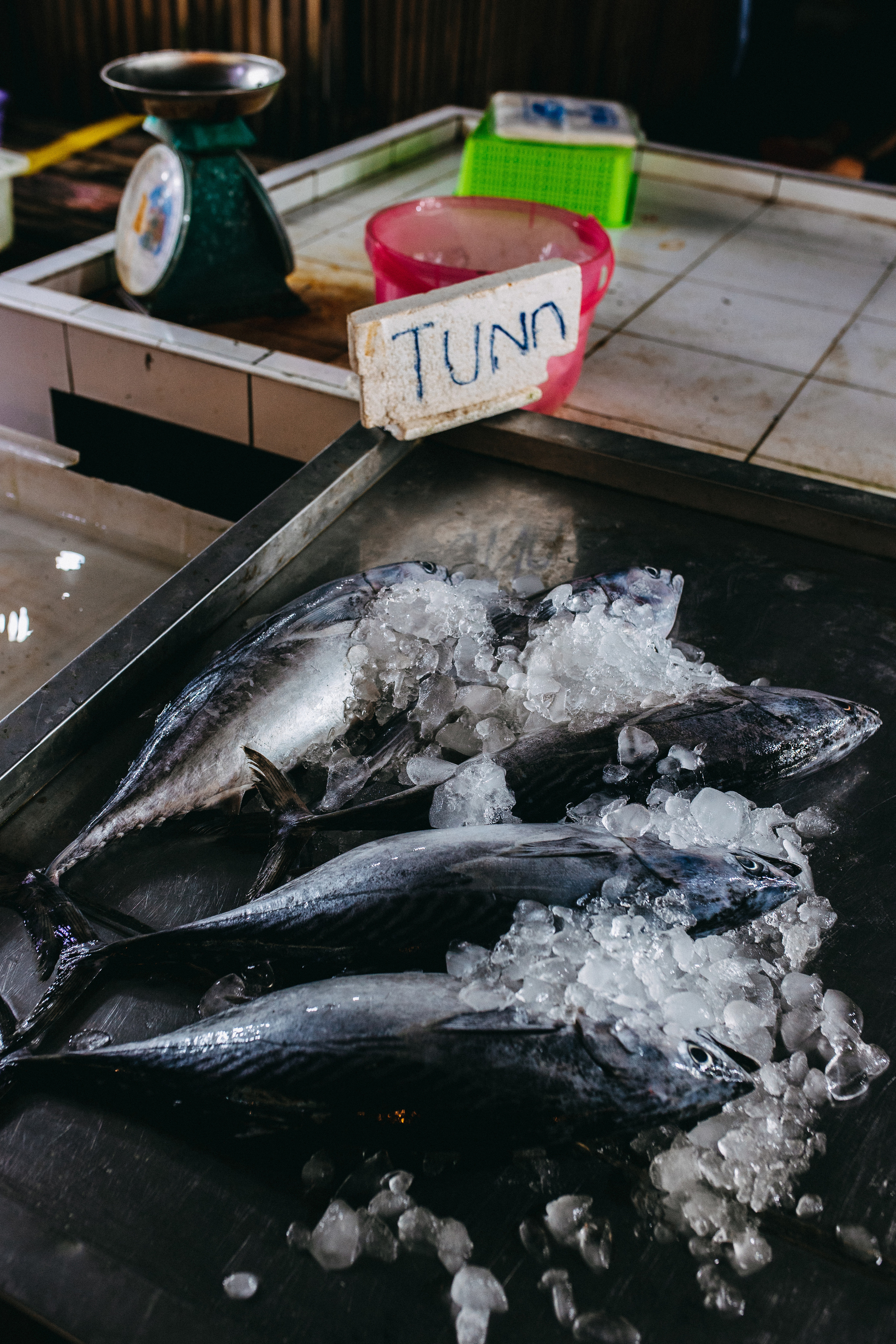 Phuket. Thailand. Wedding Event ART Photographer